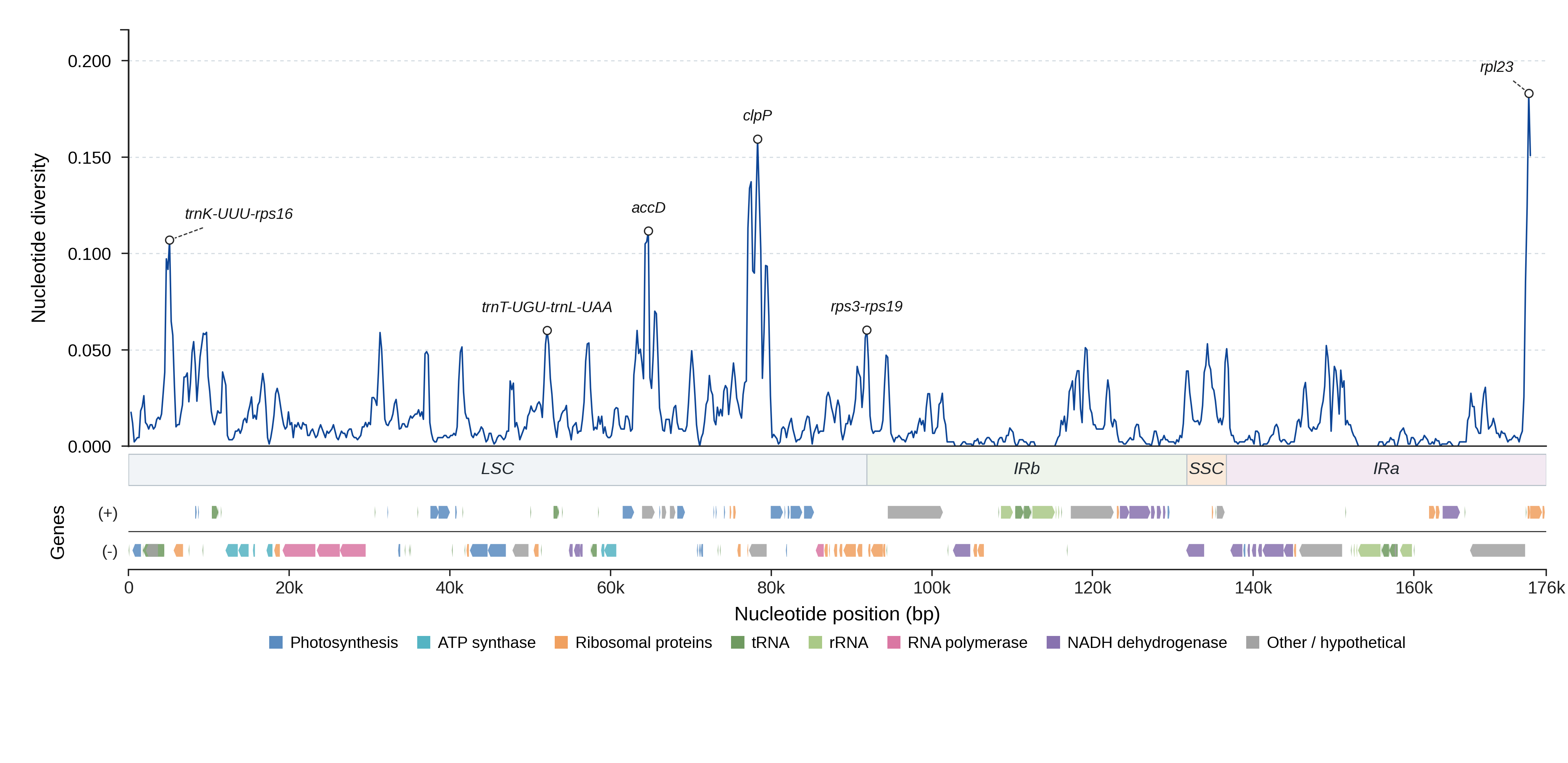 Sliding-window nucleotide diversity
