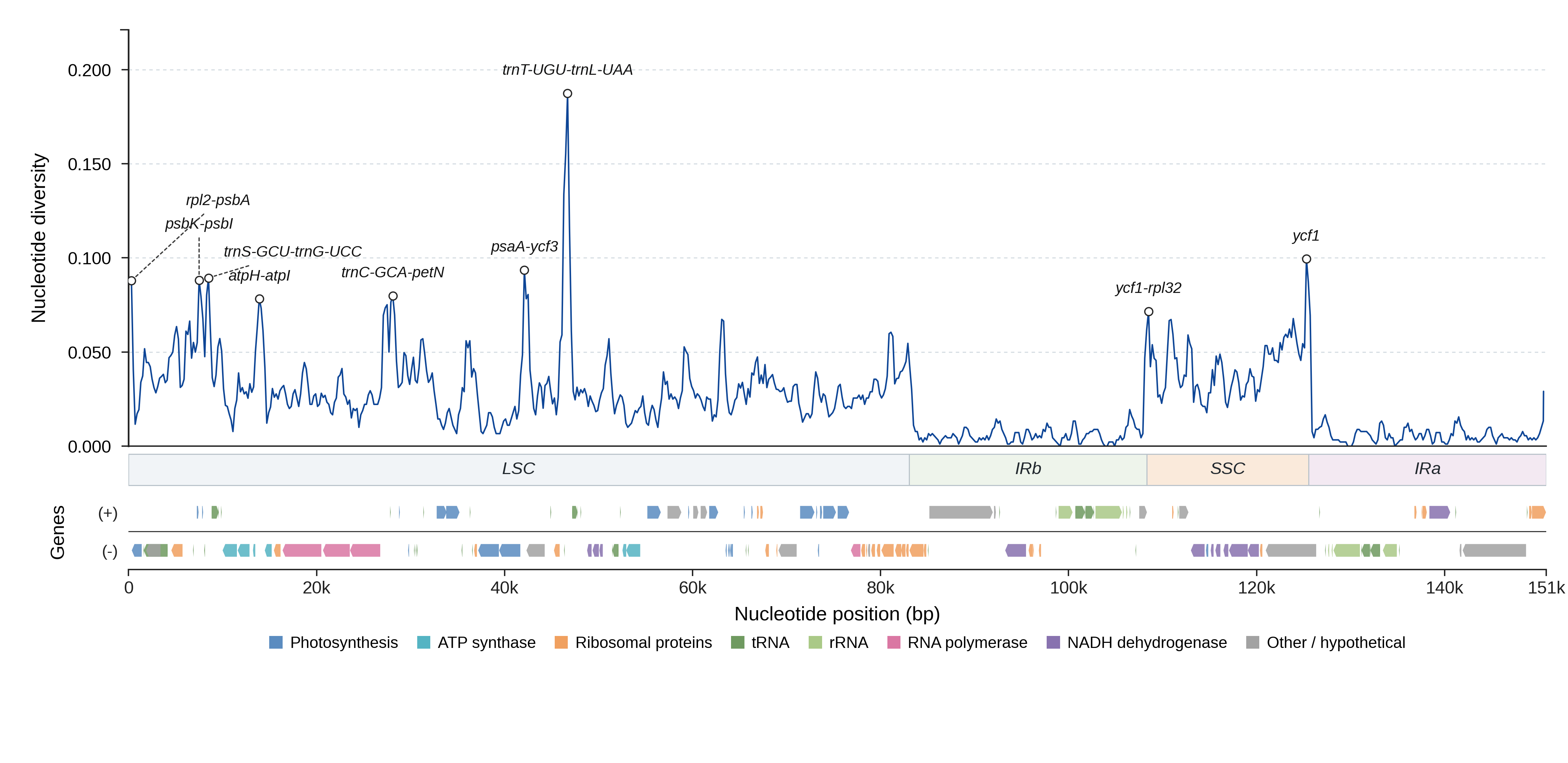 Sliding-window nucleotide diversity