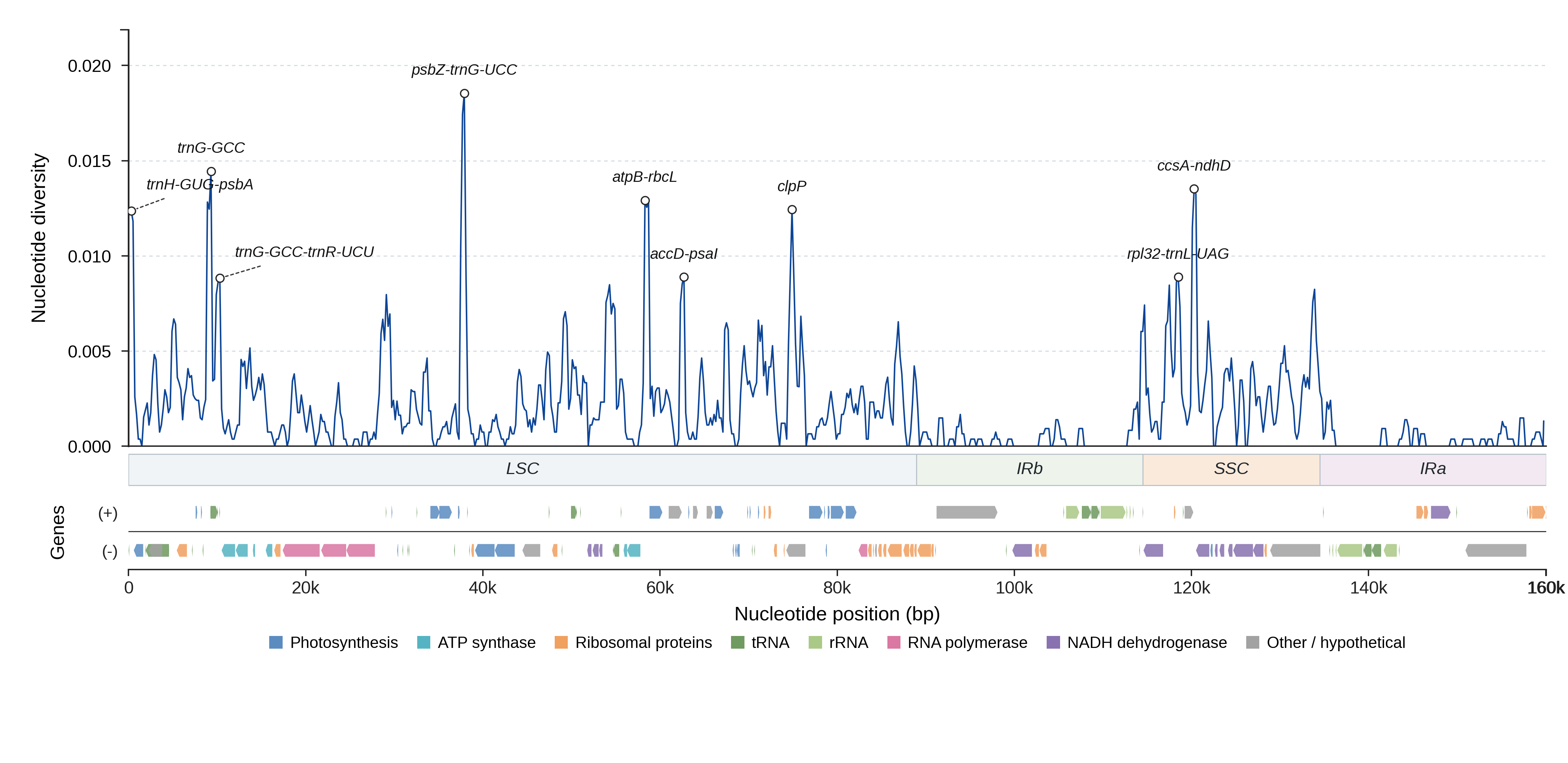 Sliding-window nucleotide diversity