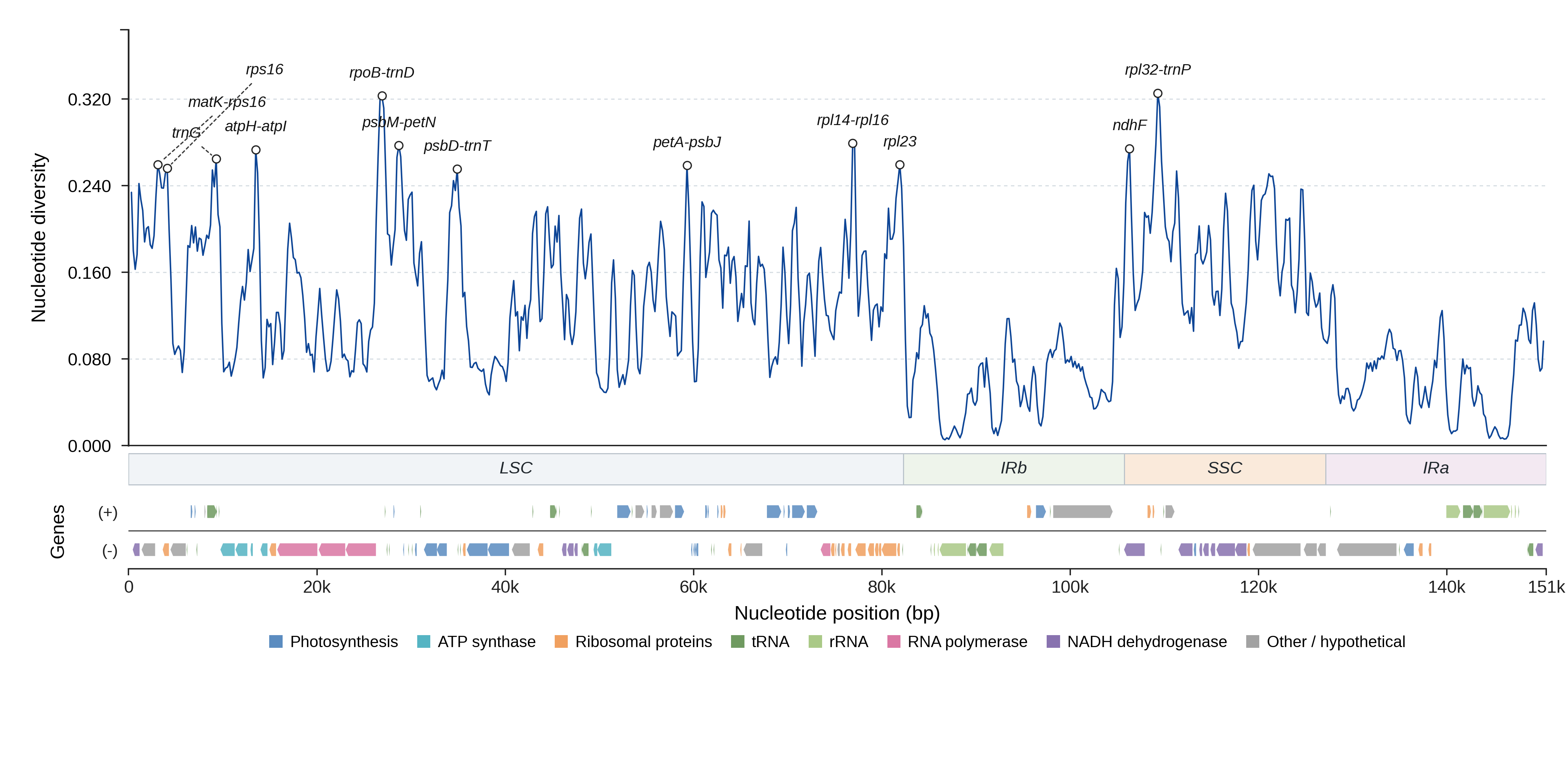 Sliding-window nucleotide diversity