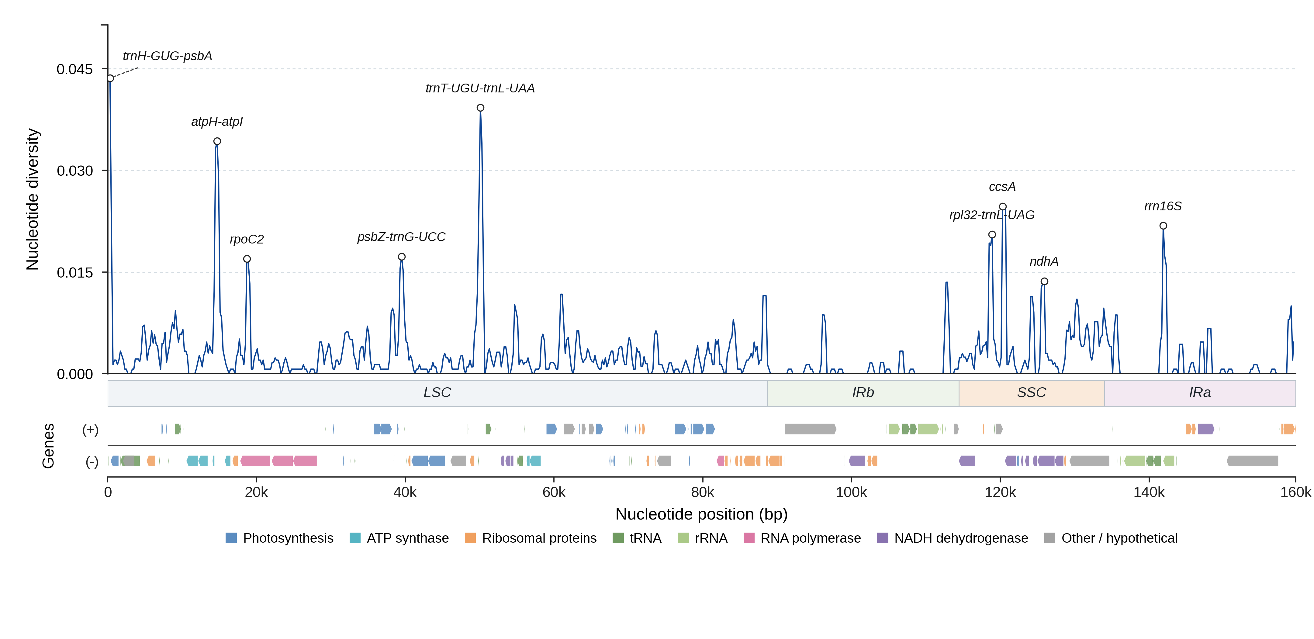 Sliding-window nucleotide diversity
