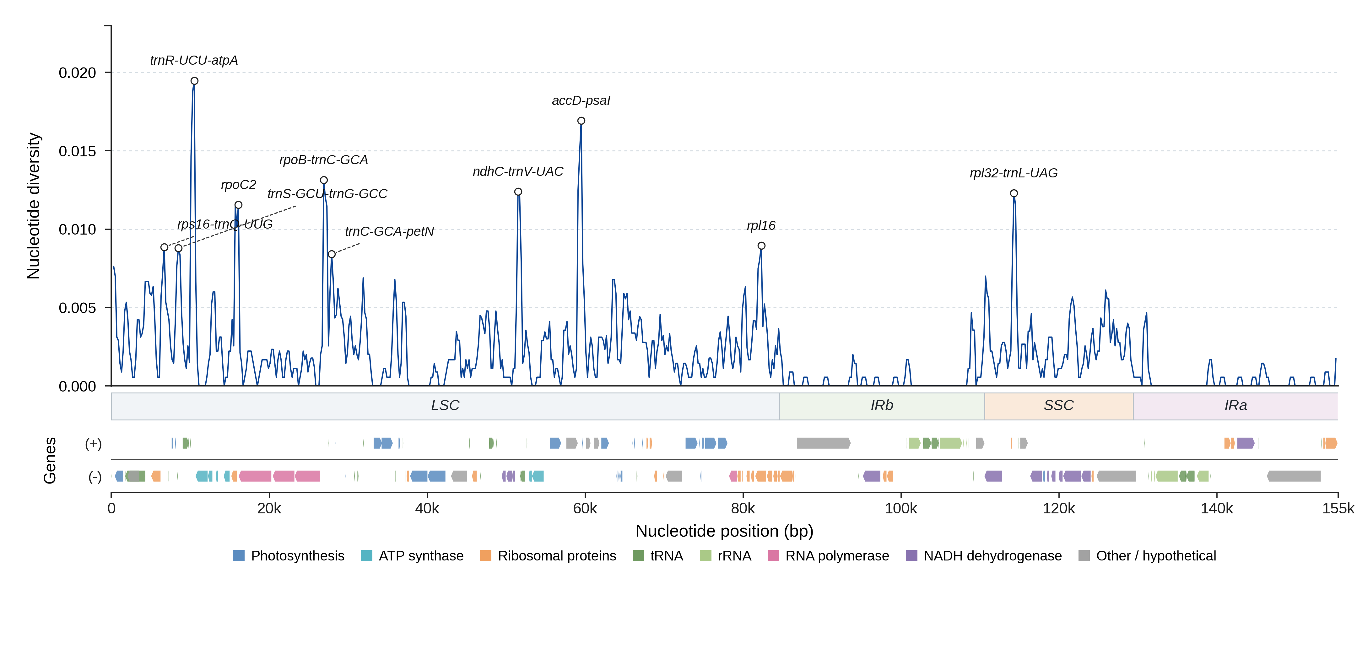 Sliding-window nucleotide diversity
