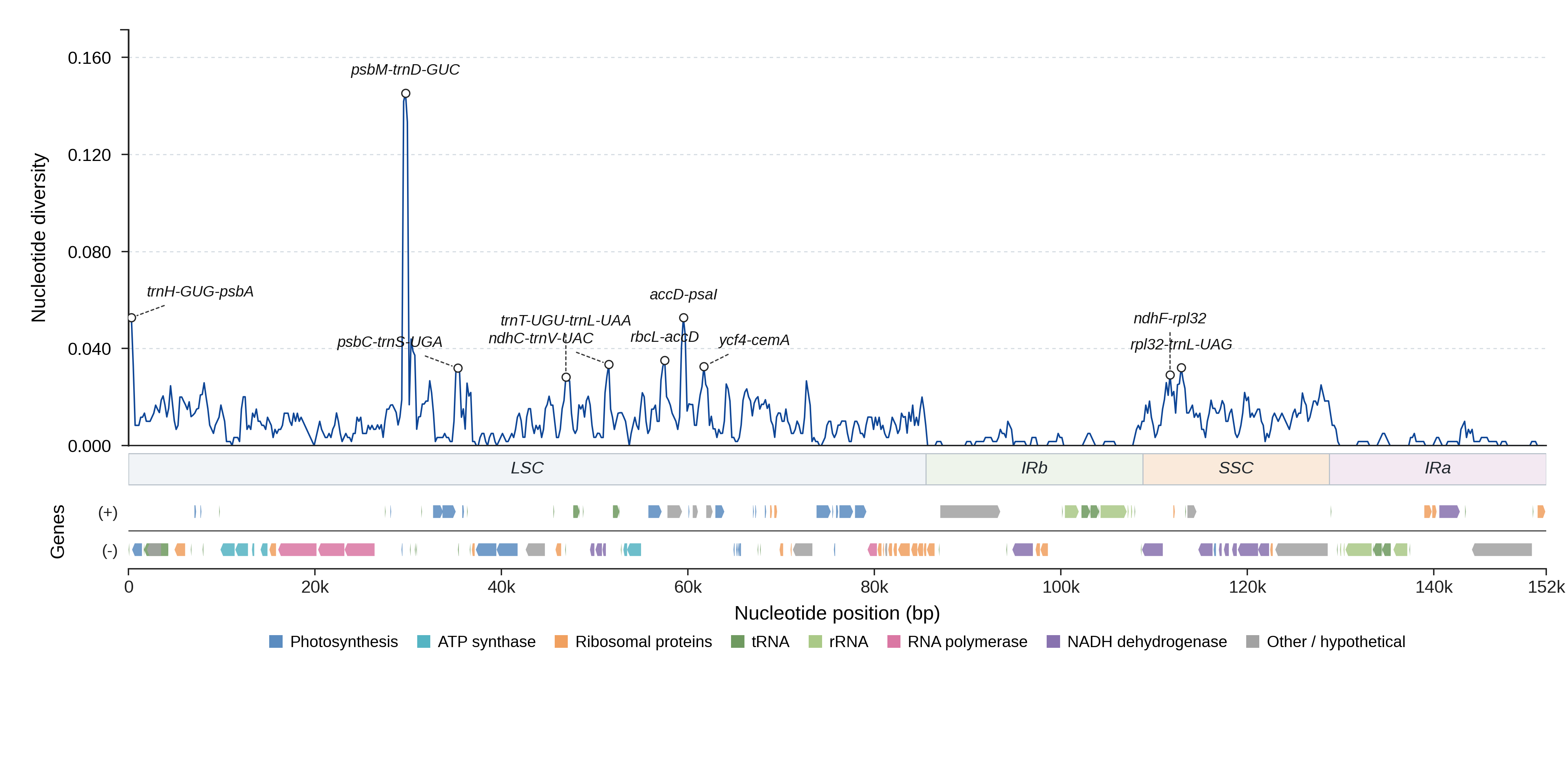 Sliding-window nucleotide diversity