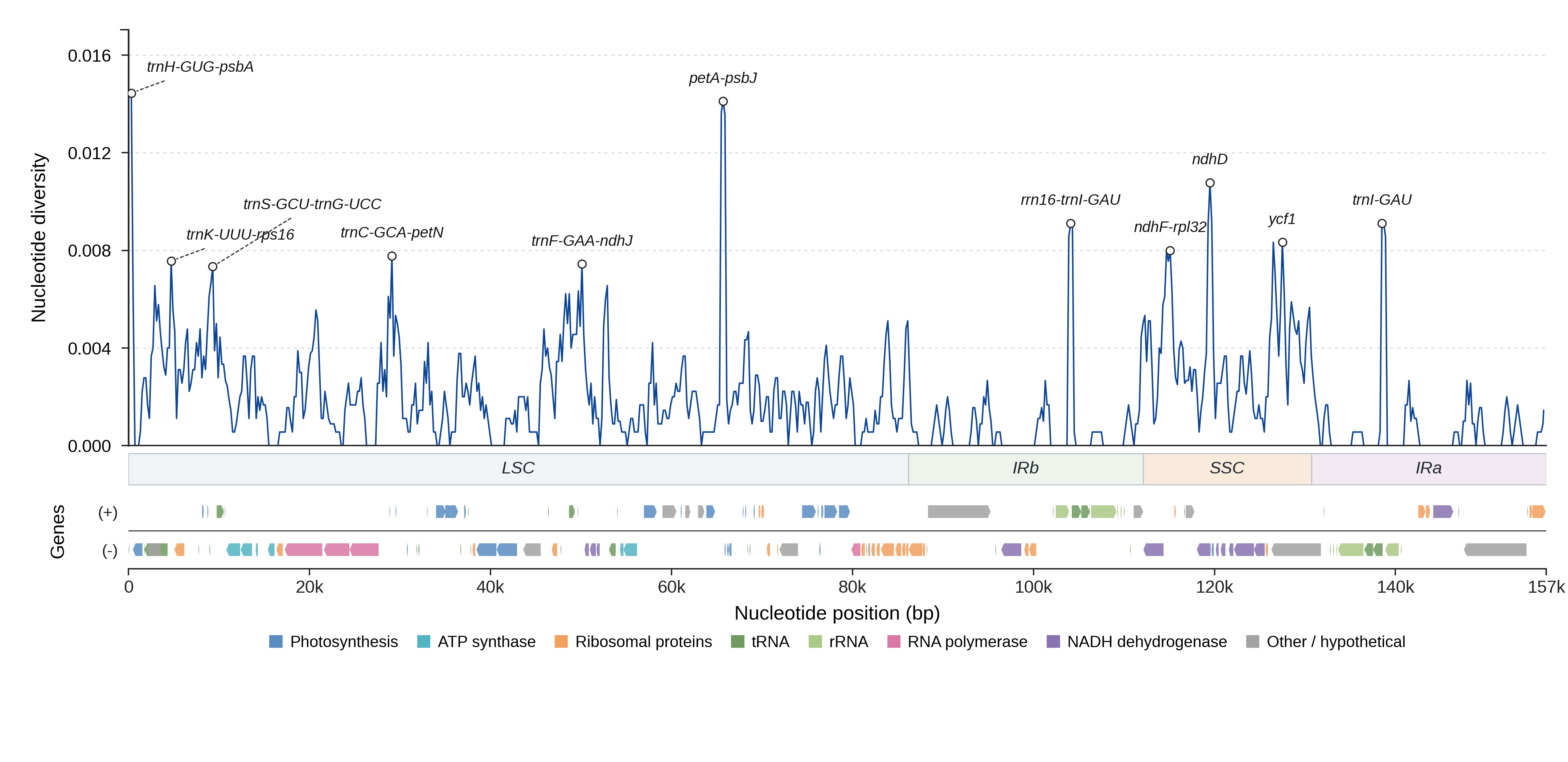 Sliding-window nucleotide diversity