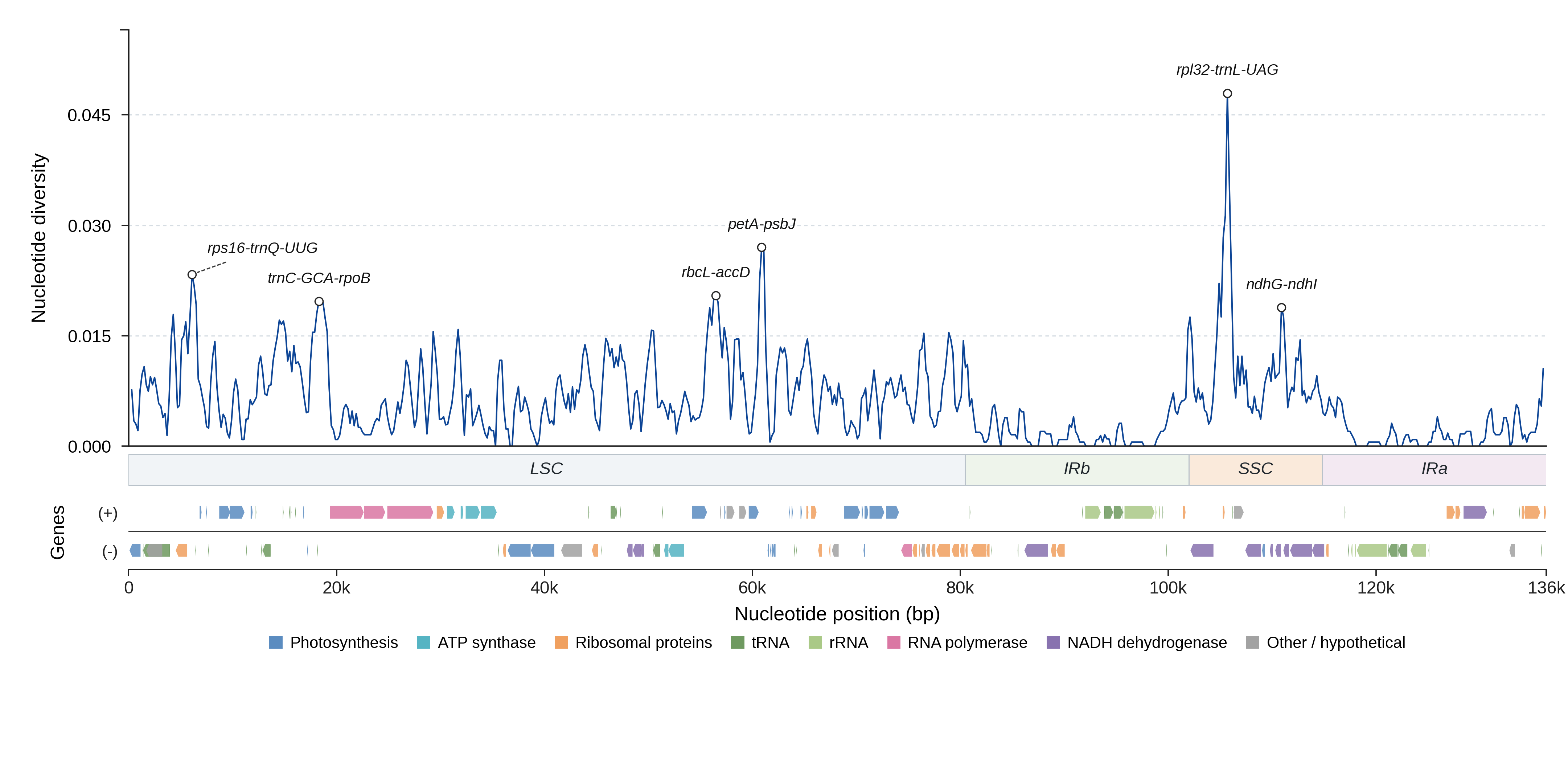 Sliding-window nucleotide diversity