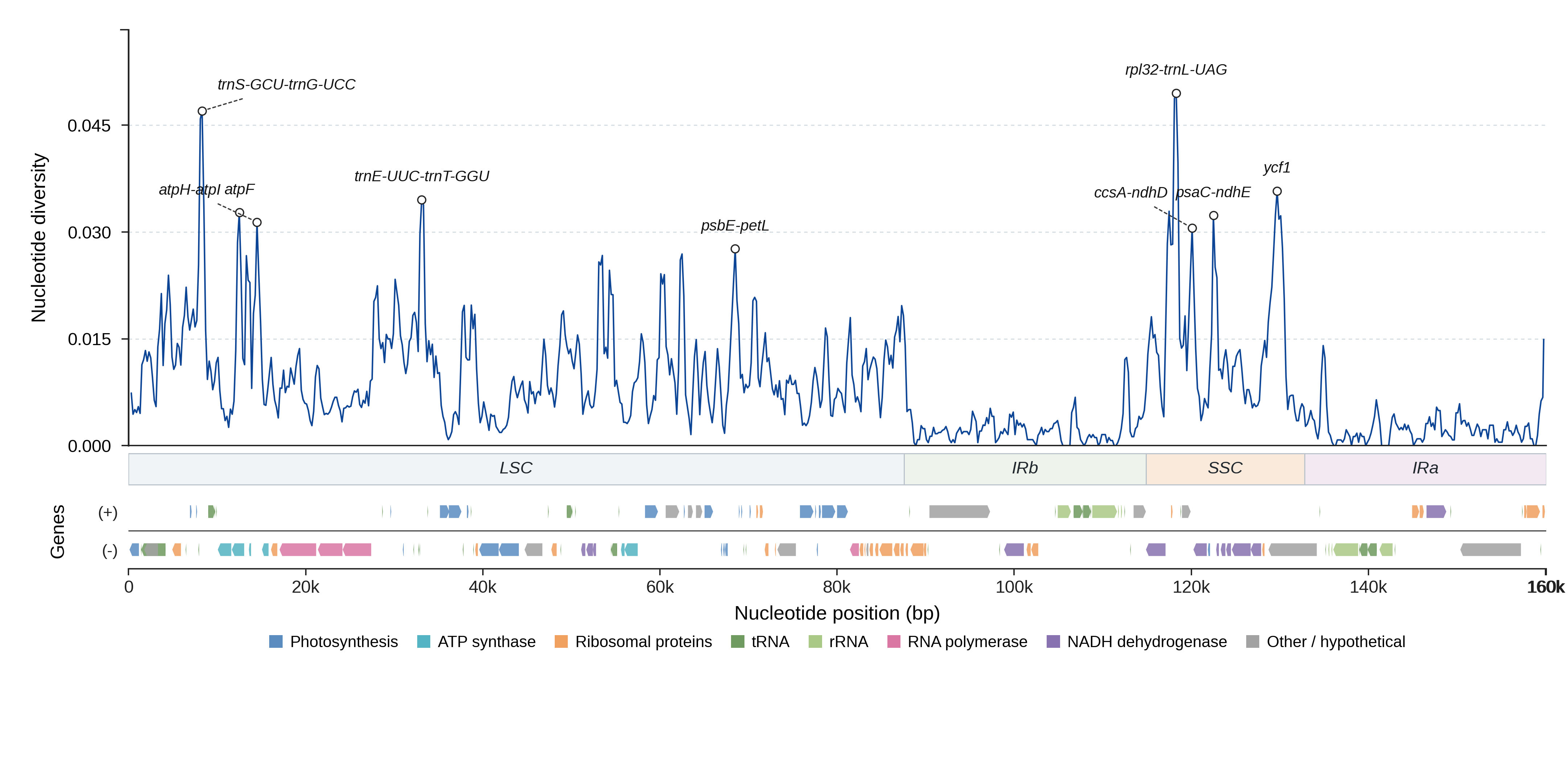 Sliding-window nucleotide diversity