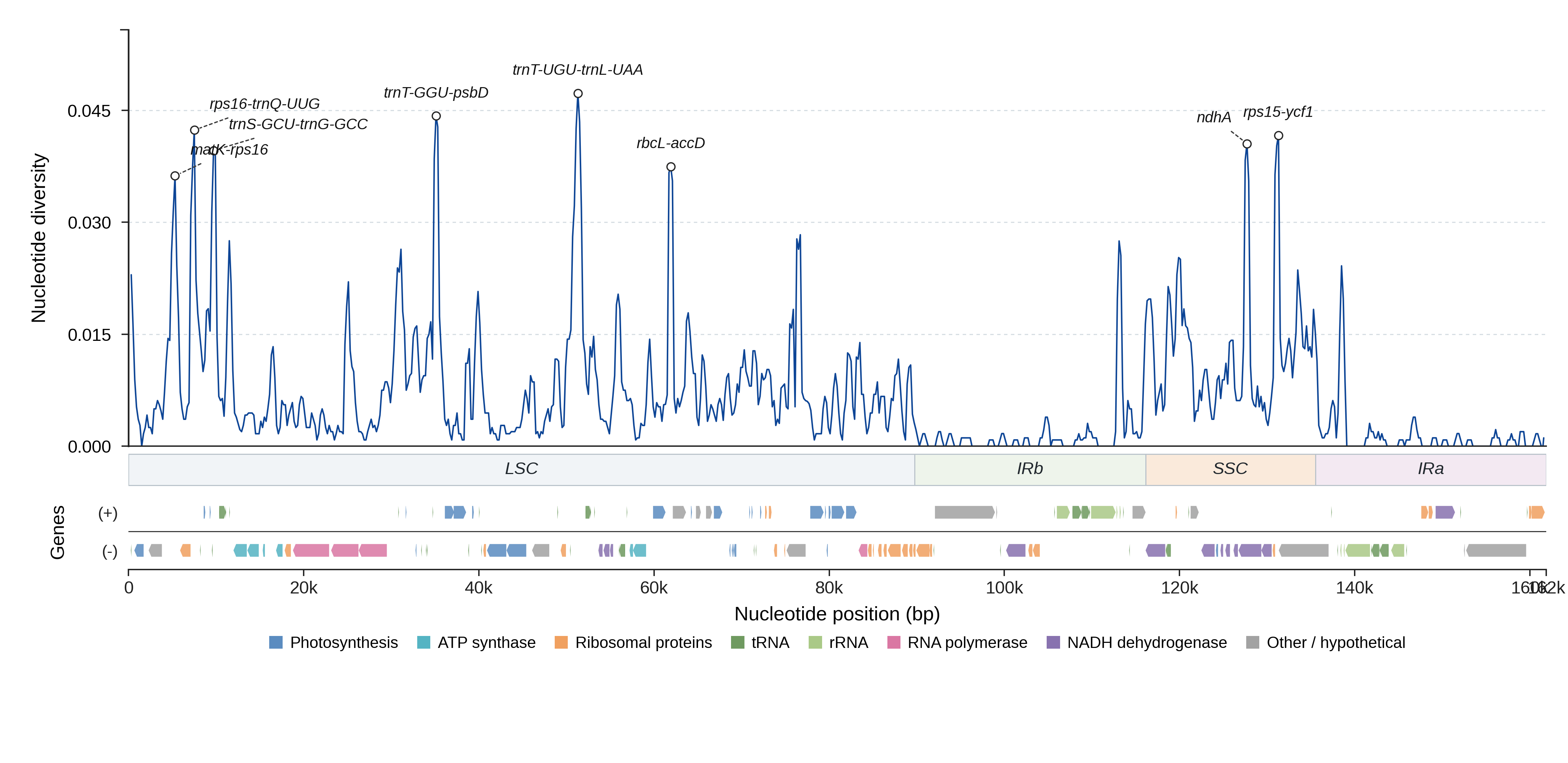 Sliding-window nucleotide diversity