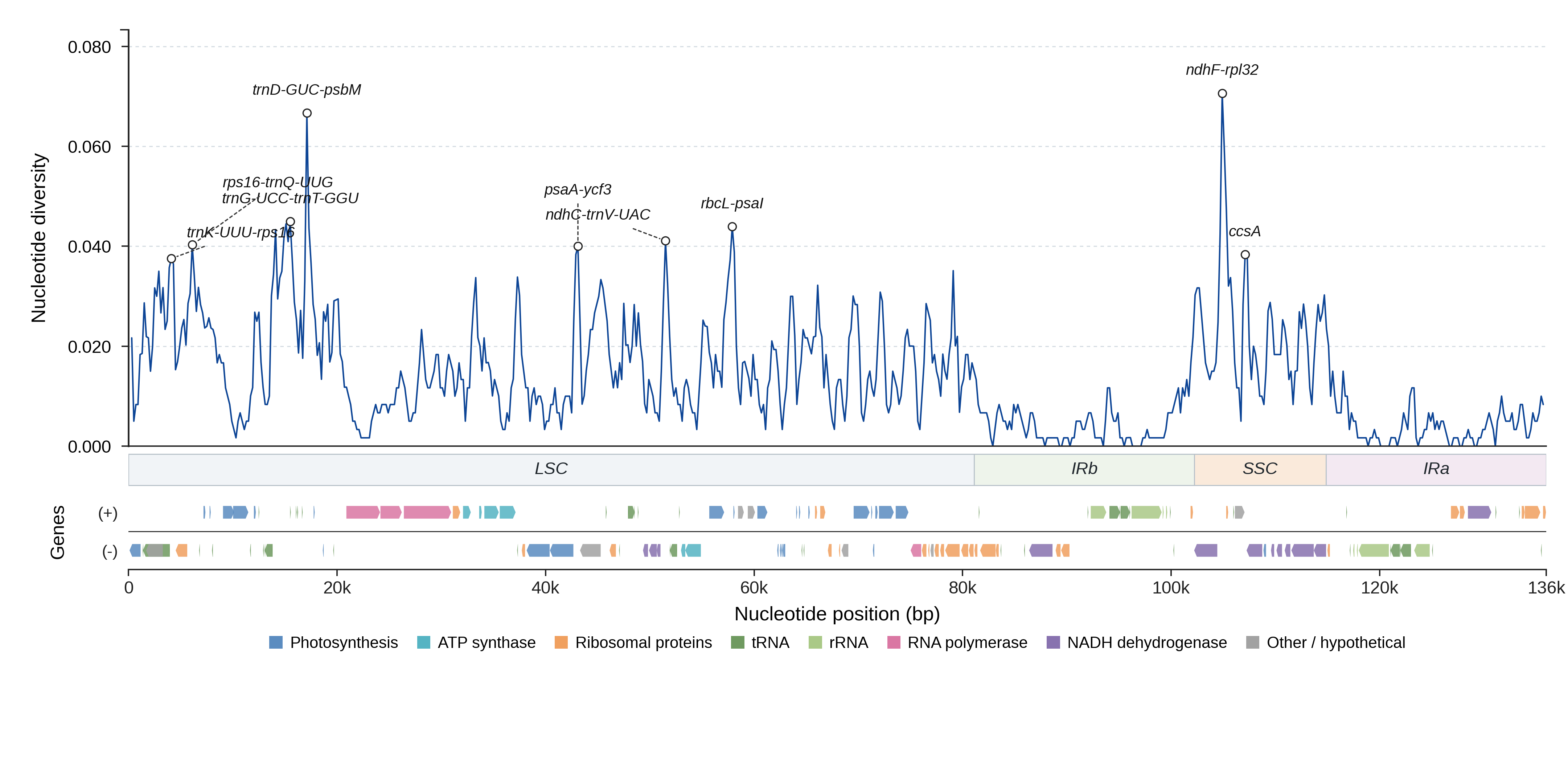 Sliding-window nucleotide diversity