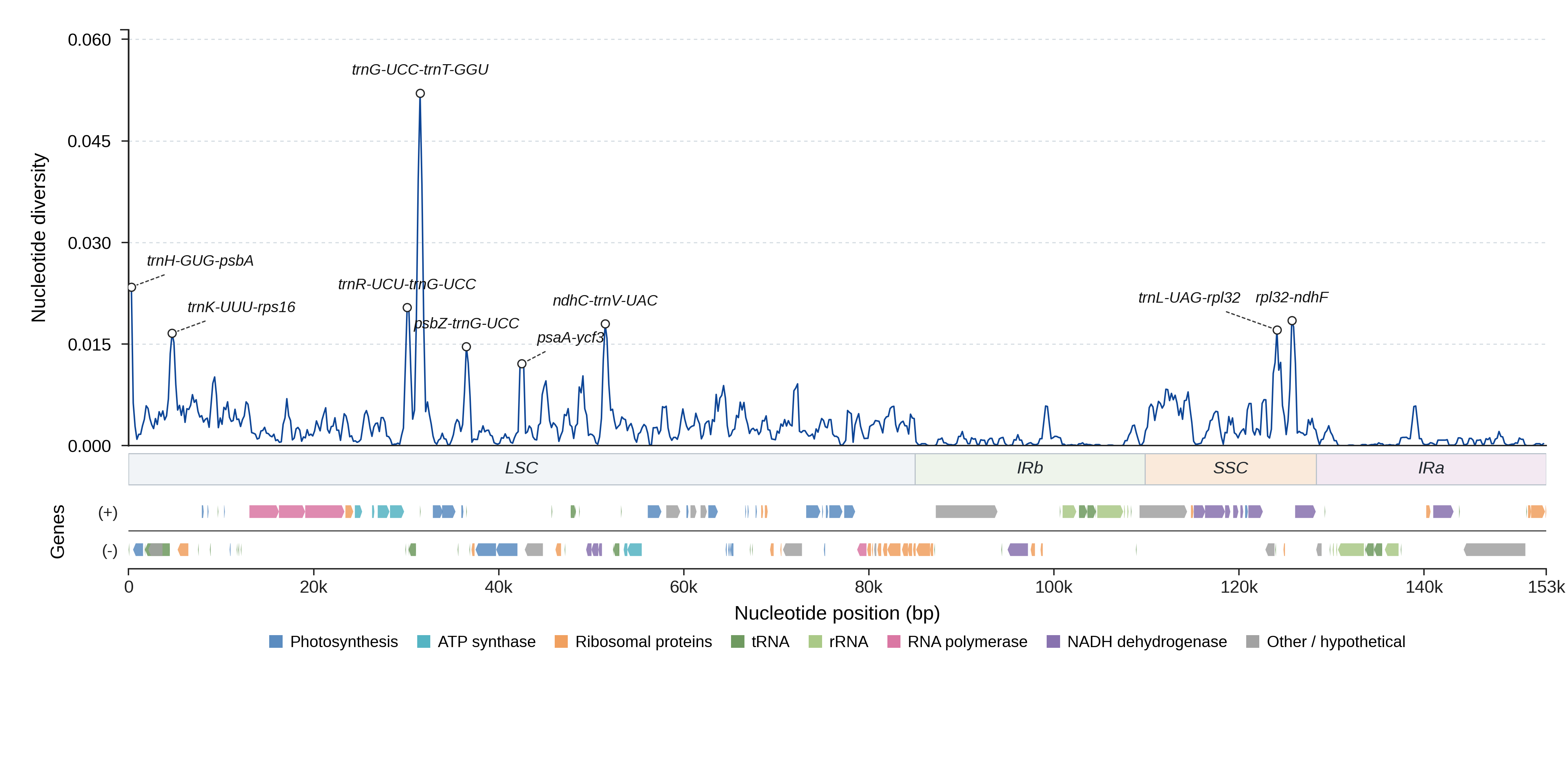 Sliding-window nucleotide diversity