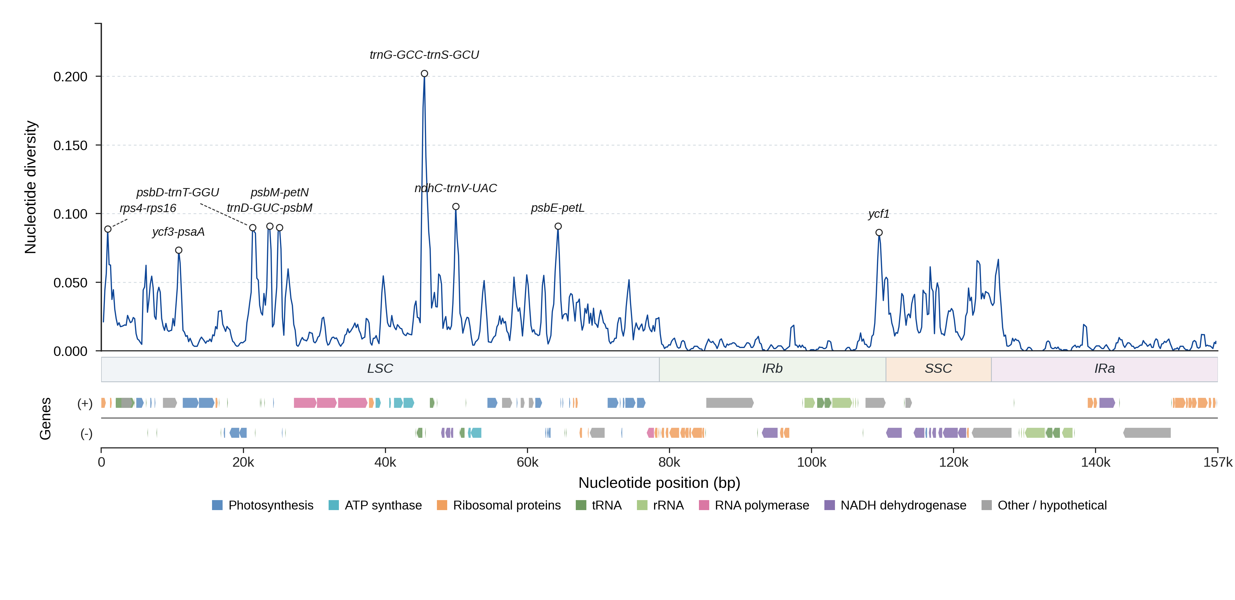 Sliding-window nucleotide diversity