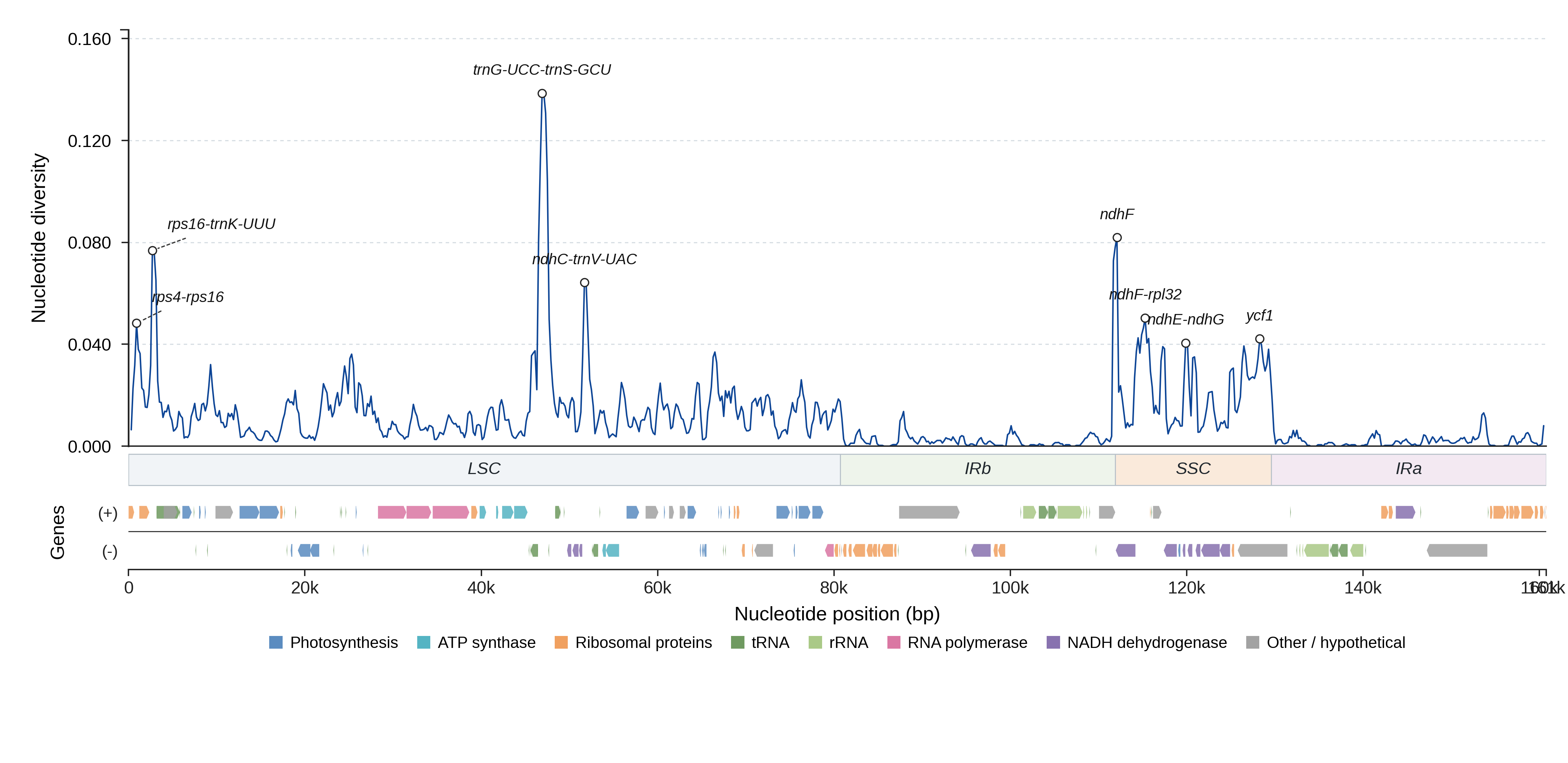 Sliding-window nucleotide diversity
