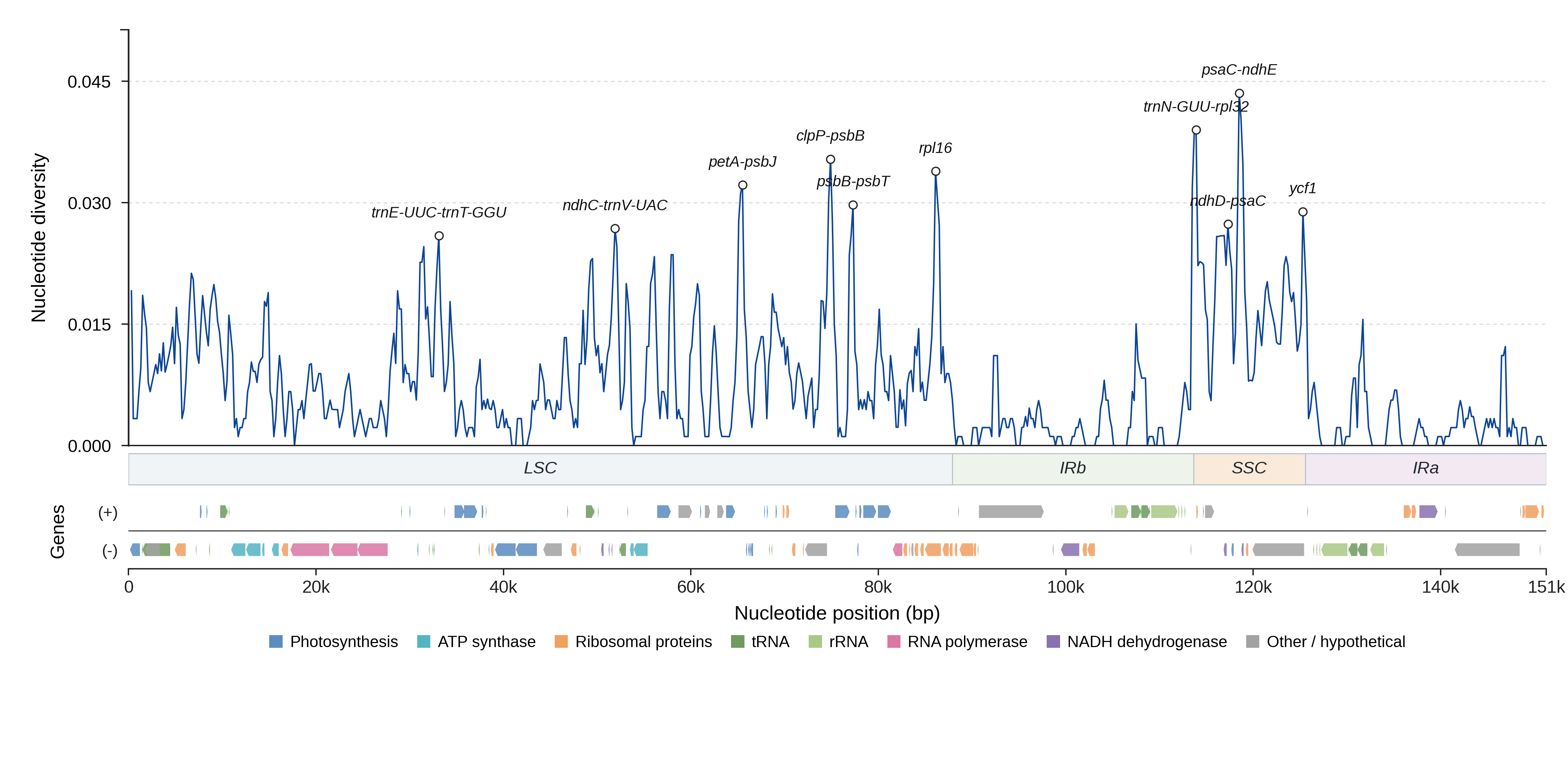 Sliding-window nucleotide diversity