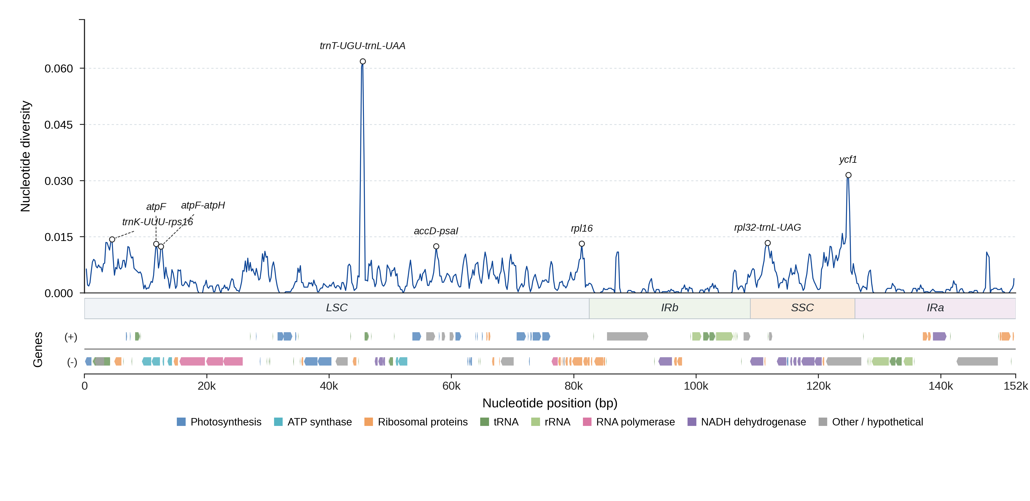 Sliding-window nucleotide diversity