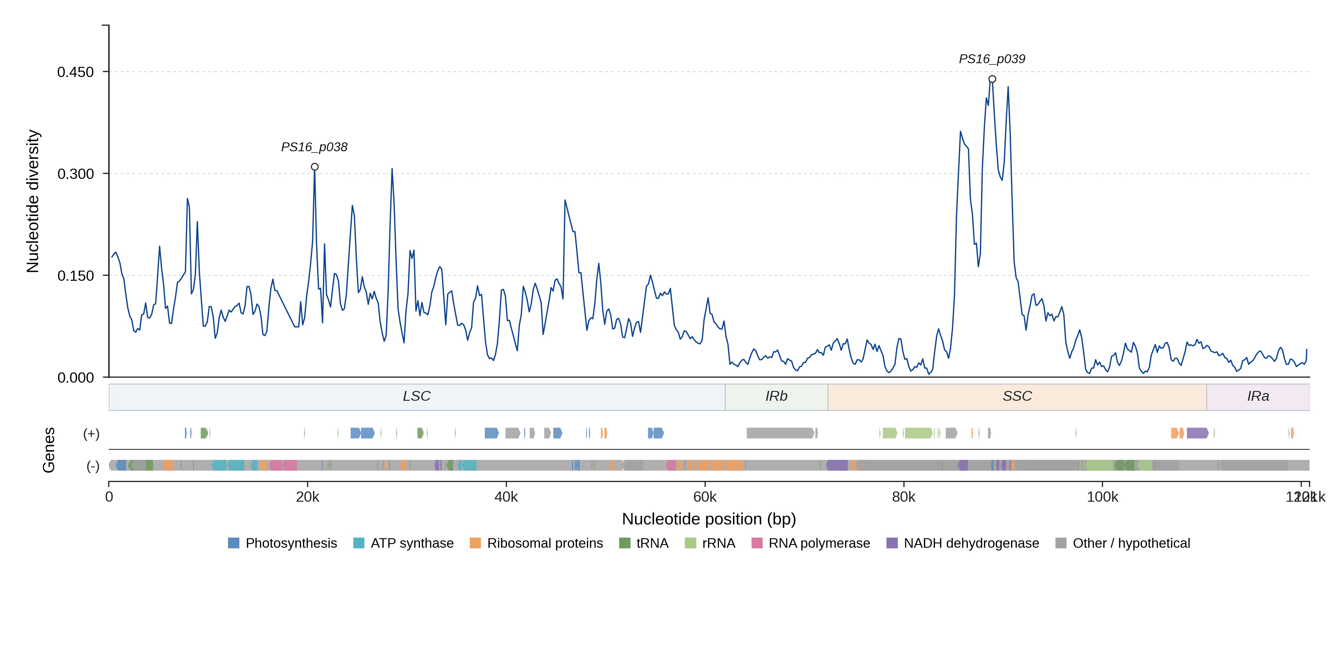 Sliding-window nucleotide diversity