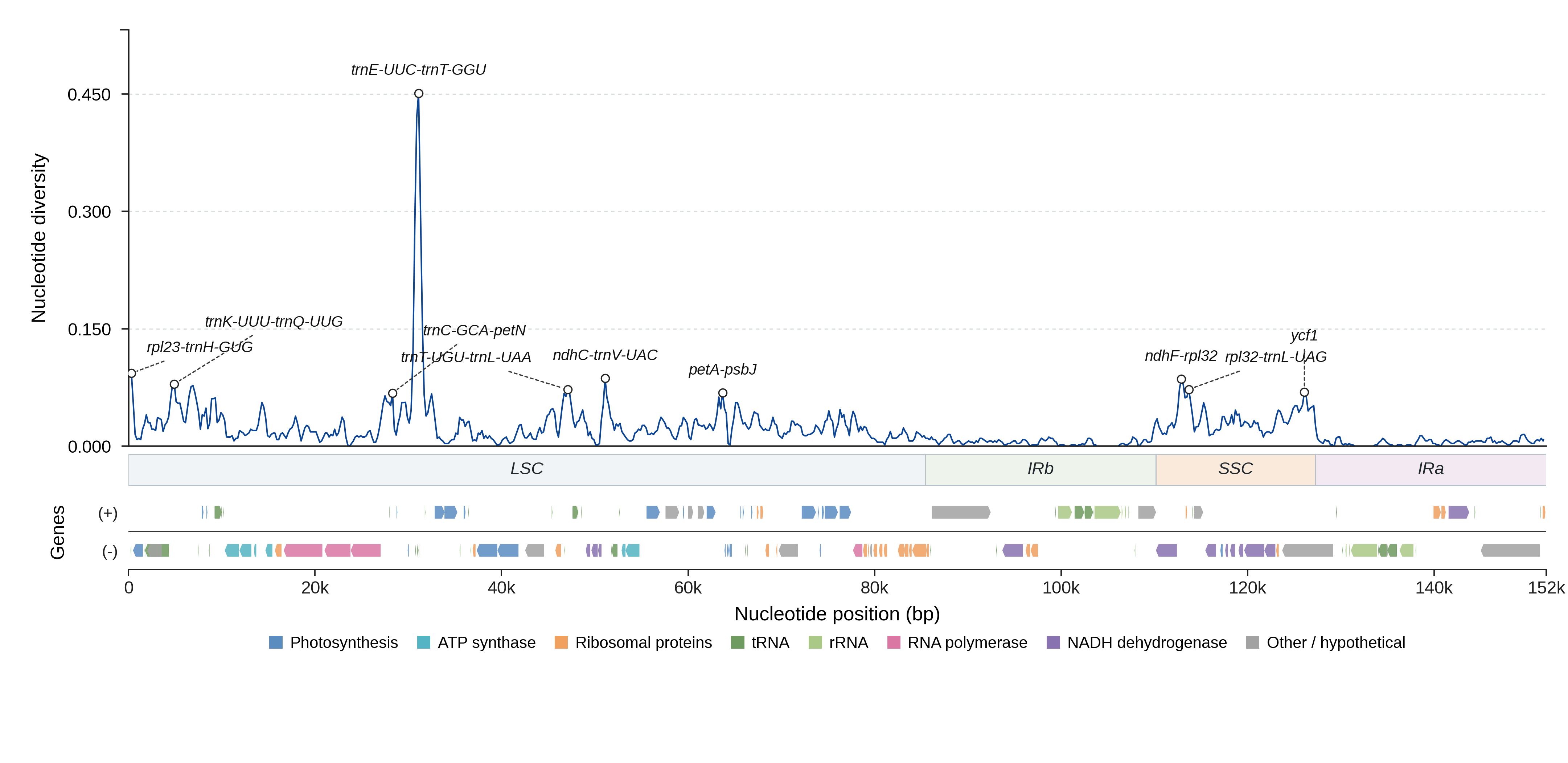 Sliding-window nucleotide diversity