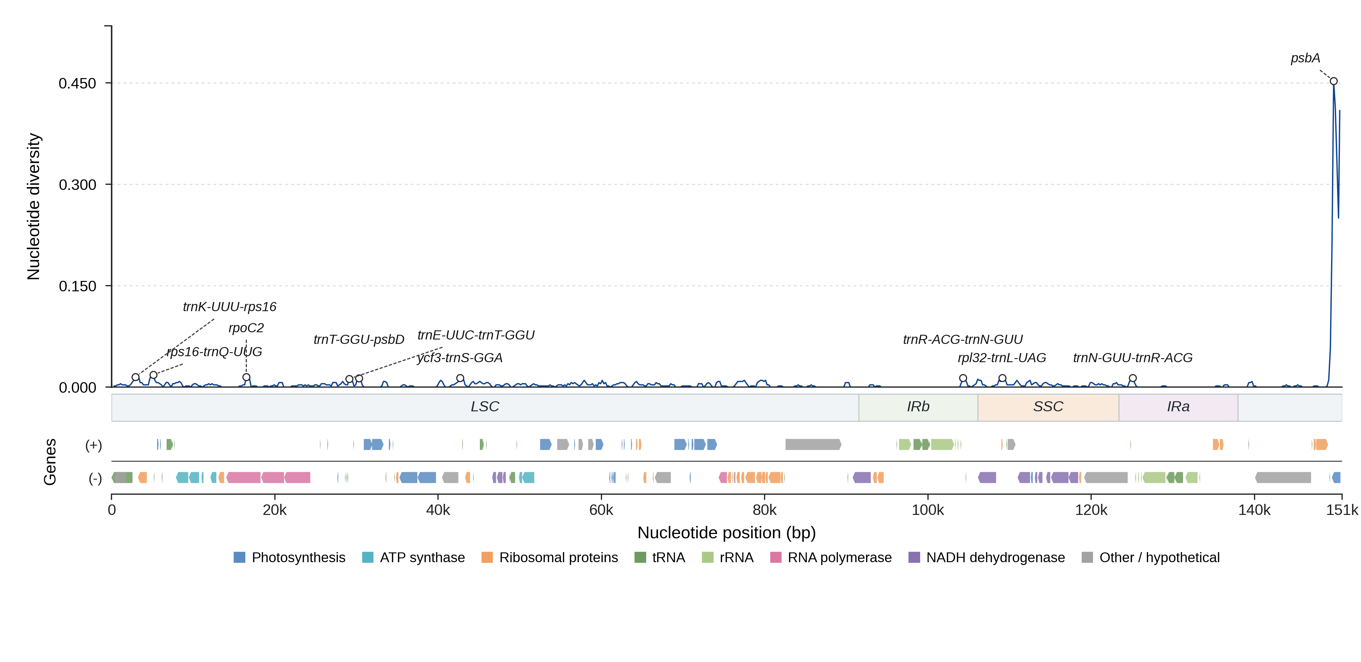 Sliding-window nucleotide diversity
