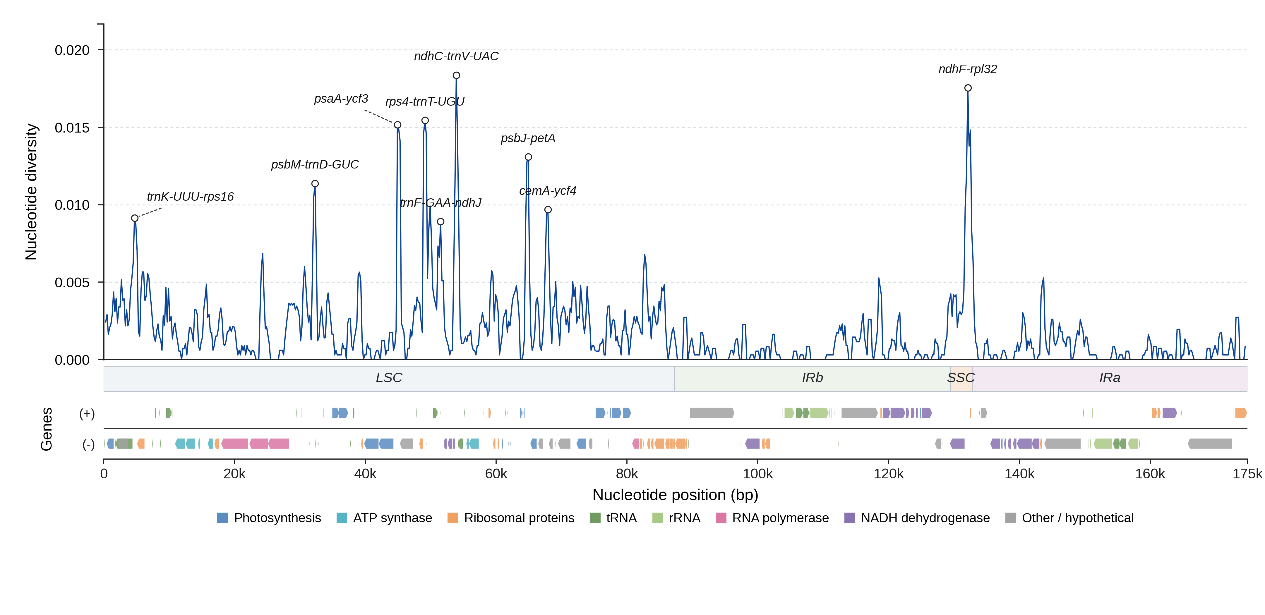 Sliding-window nucleotide diversity