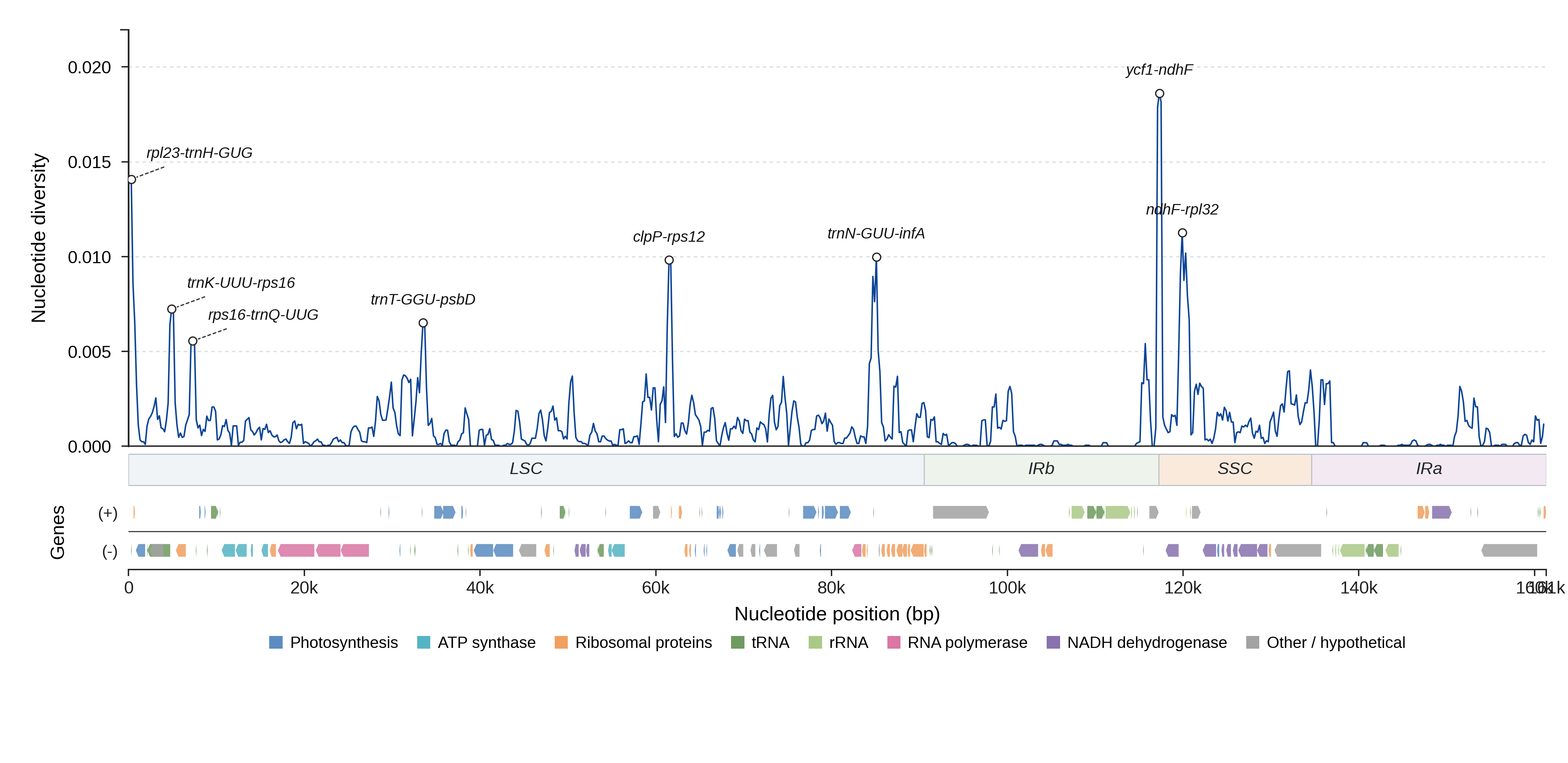 Sliding-window nucleotide diversity