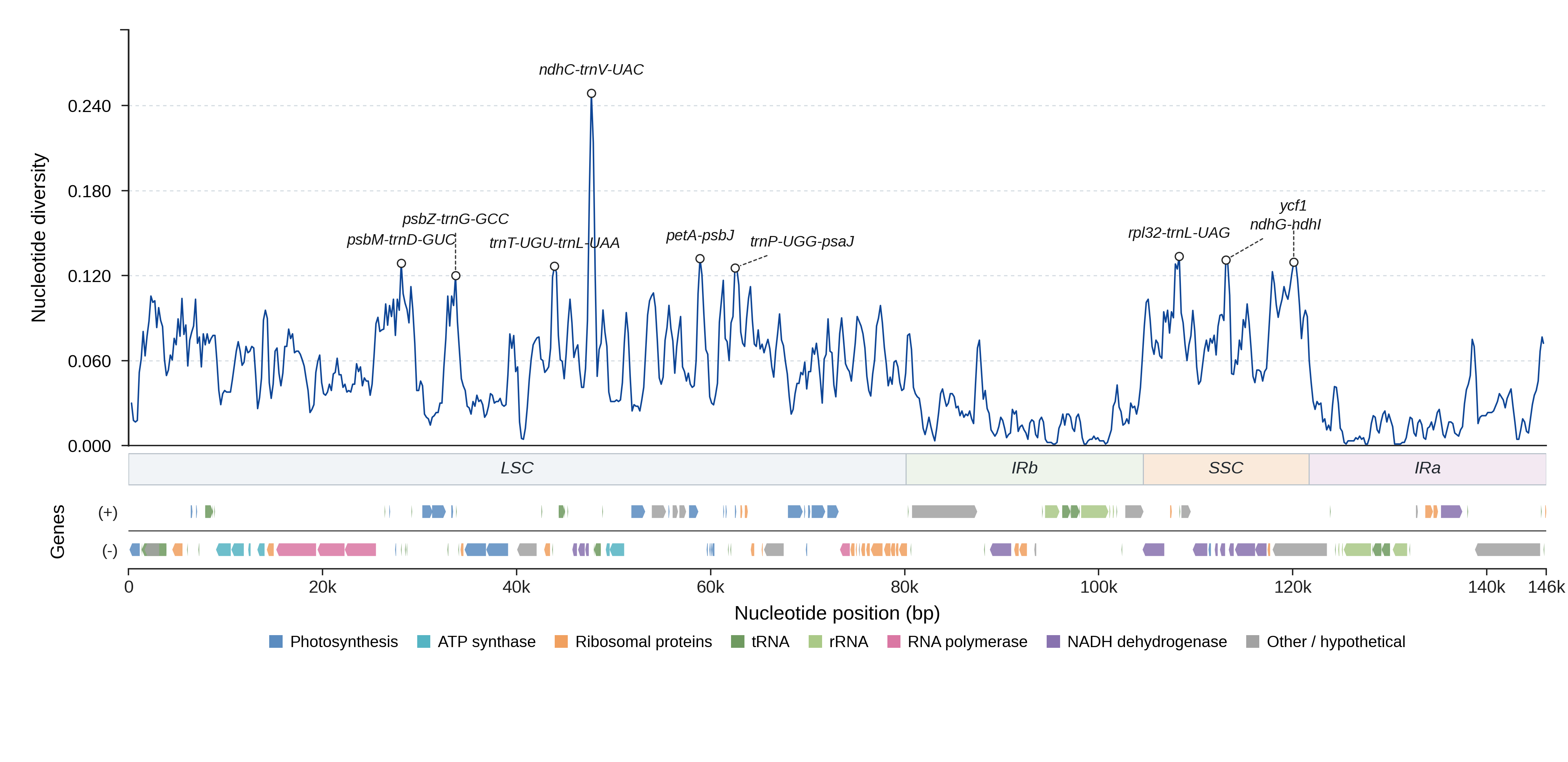 Sliding-window nucleotide diversity