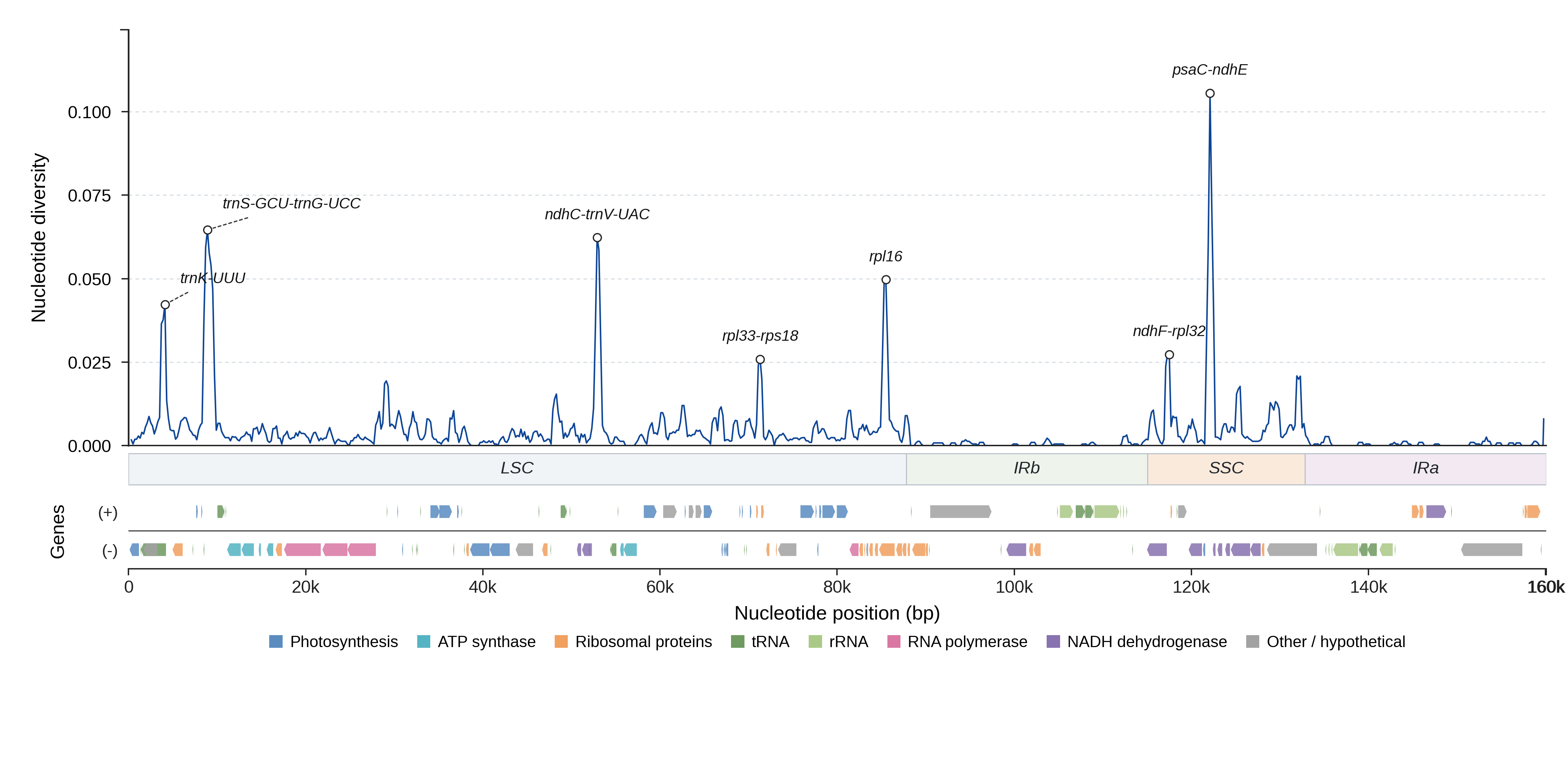 Sliding-window nucleotide diversity