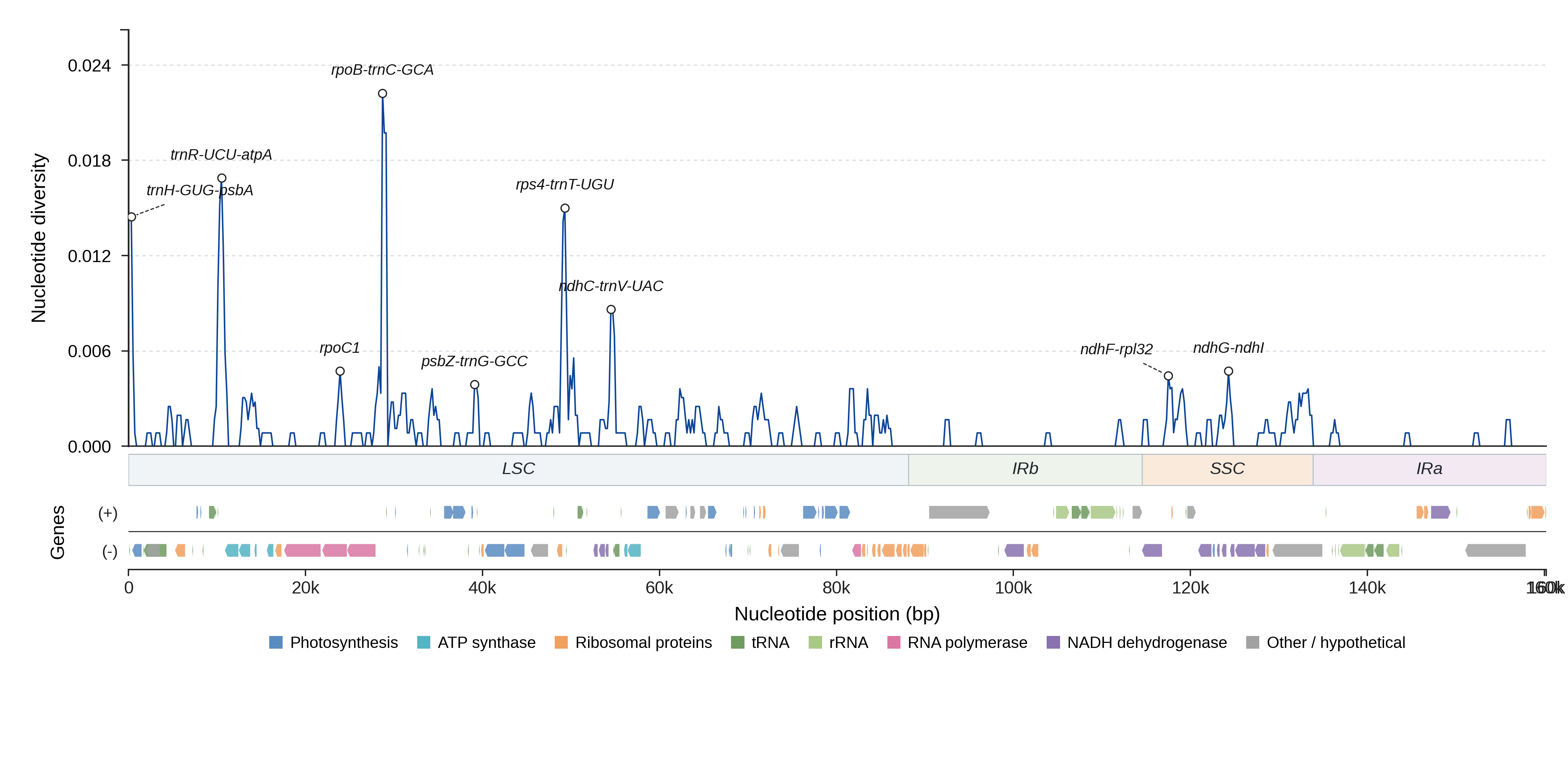 Sliding-window nucleotide diversity