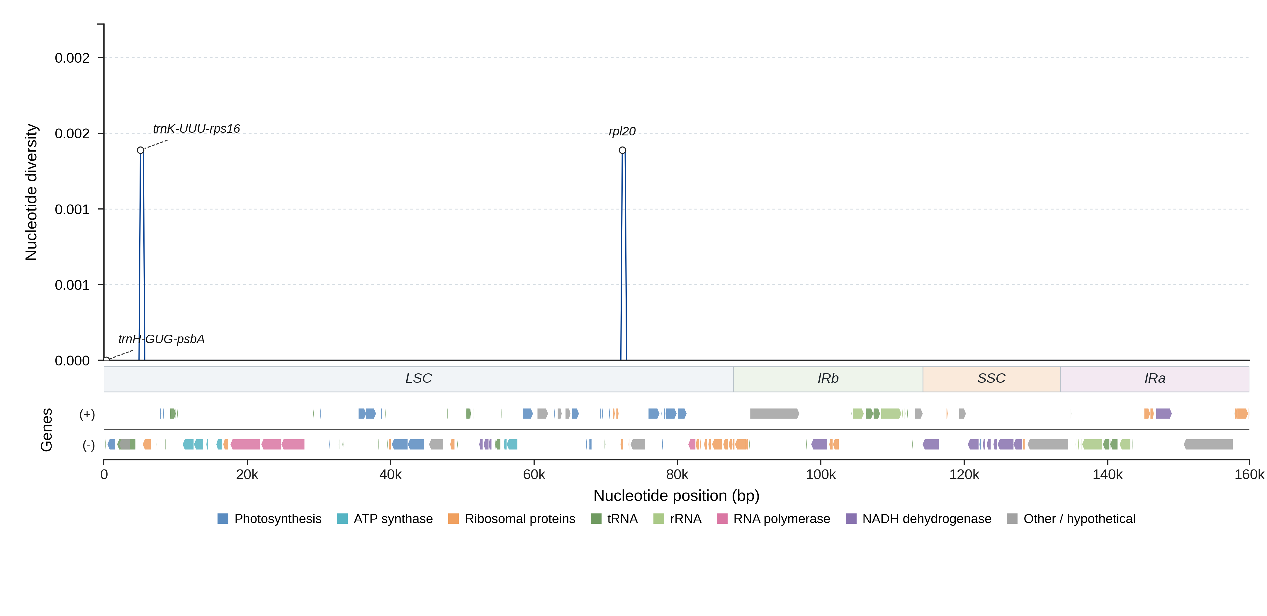 Sliding-window nucleotide diversity