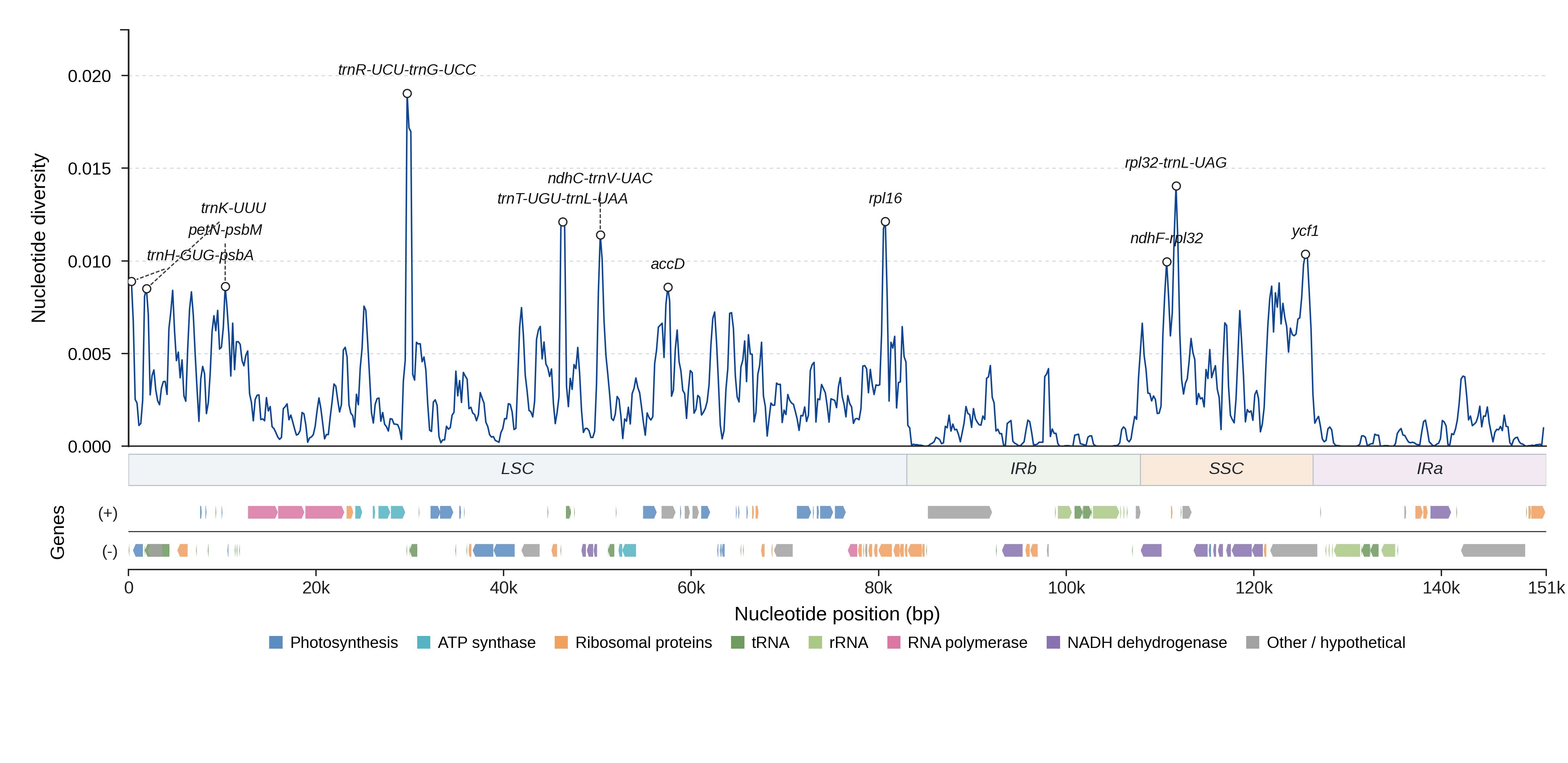 Sliding-window nucleotide diversity