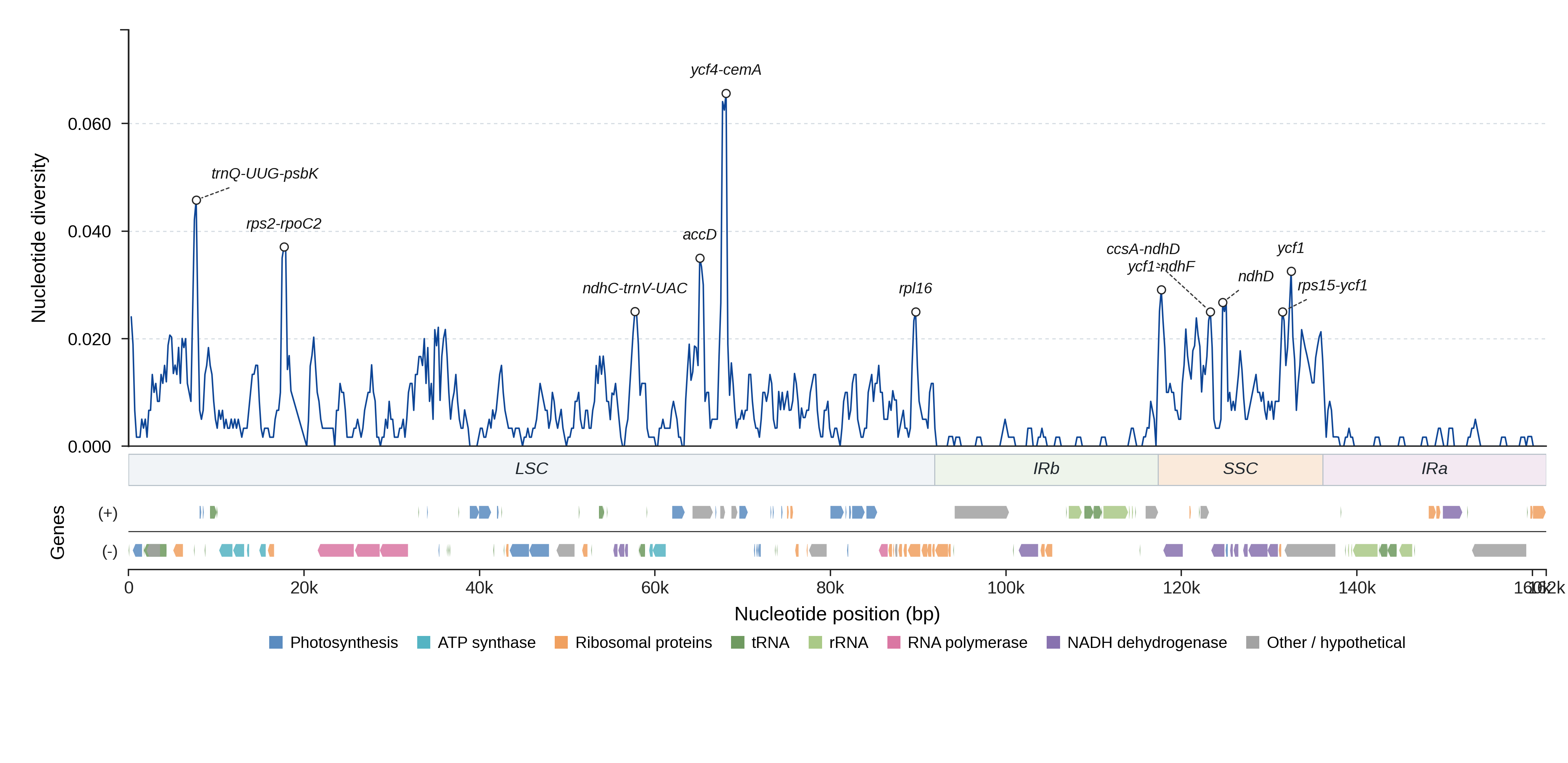 Sliding-window nucleotide diversity