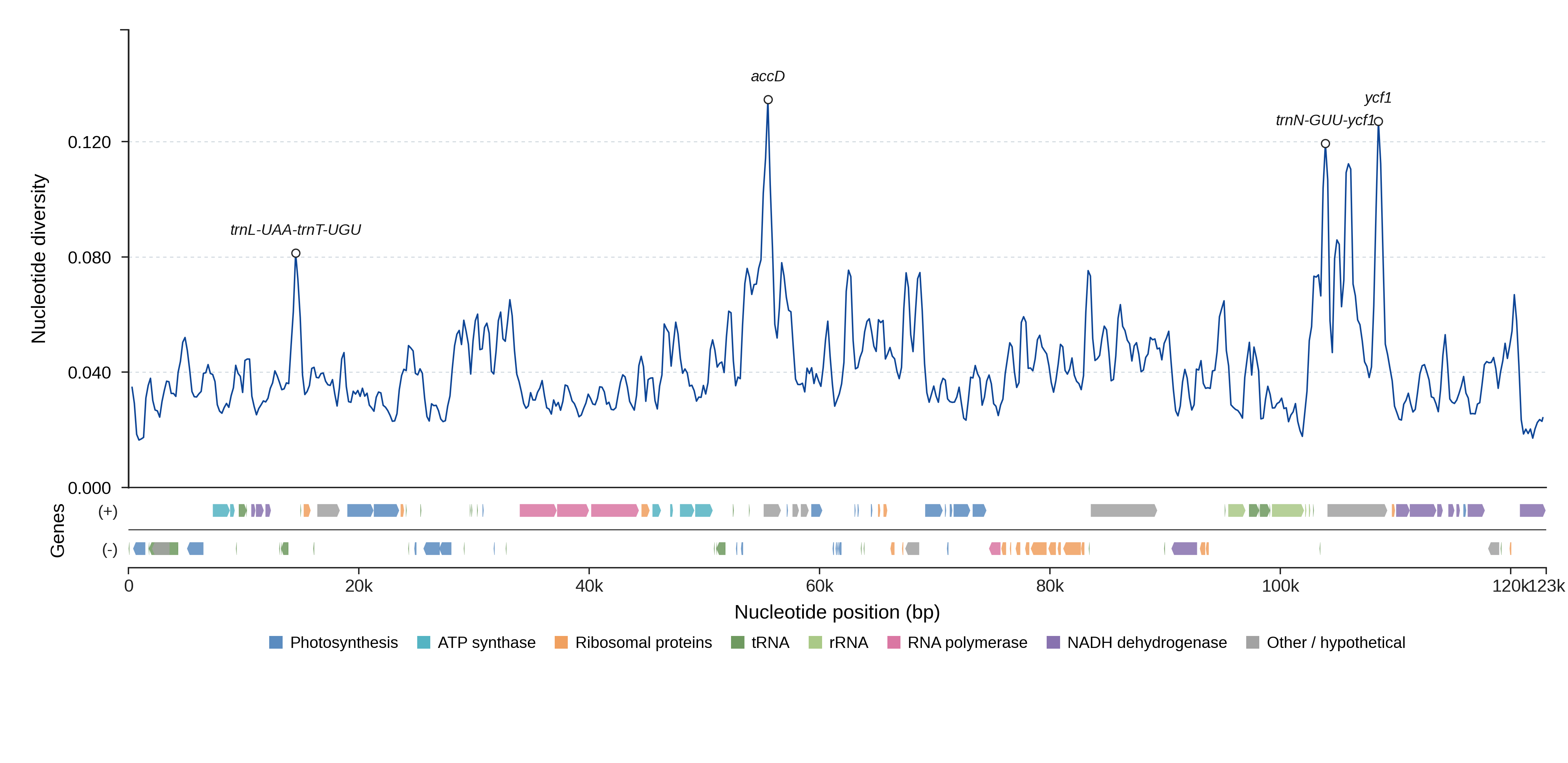 Sliding-window nucleotide diversity