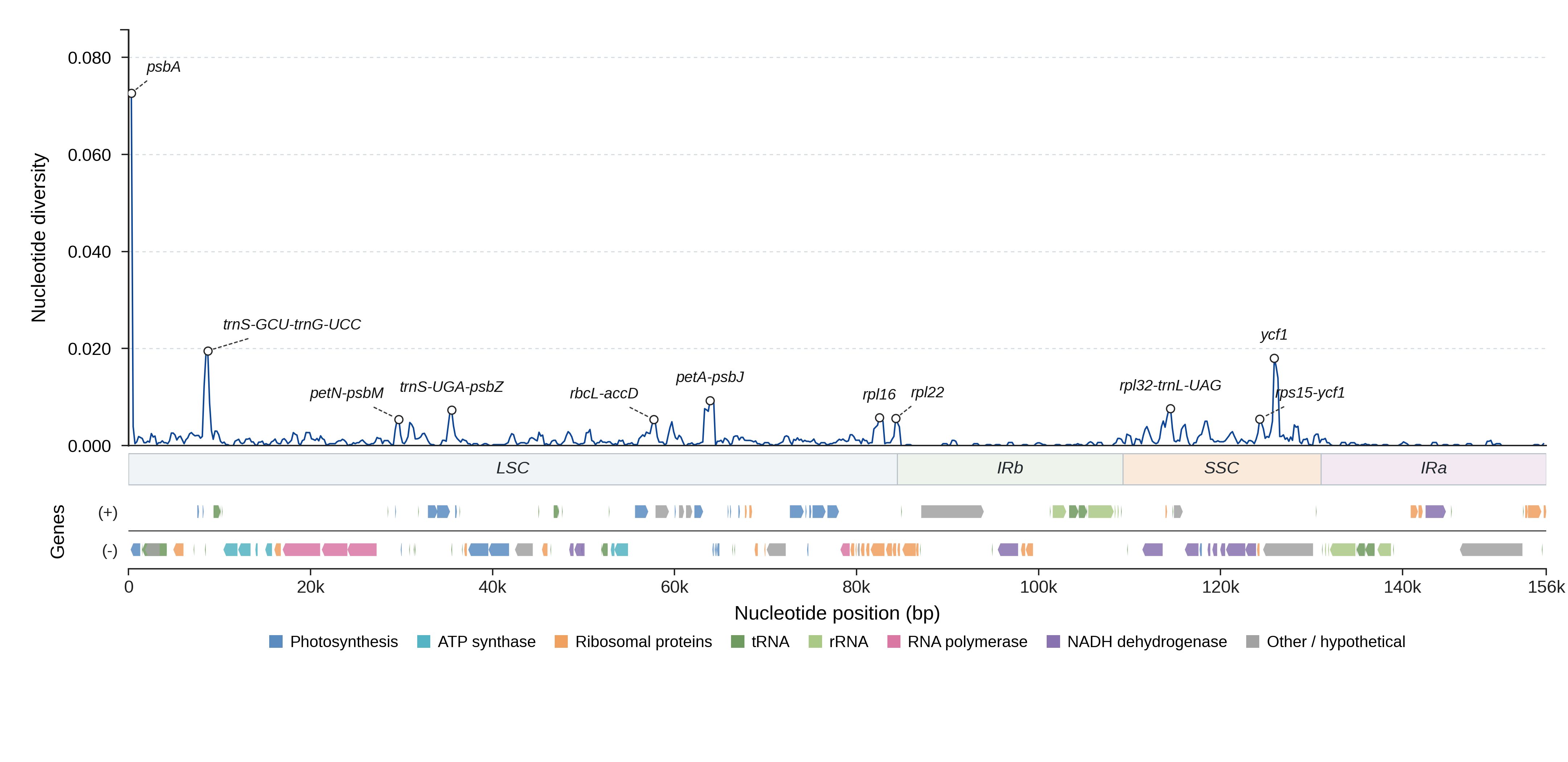 Sliding-window nucleotide diversity
