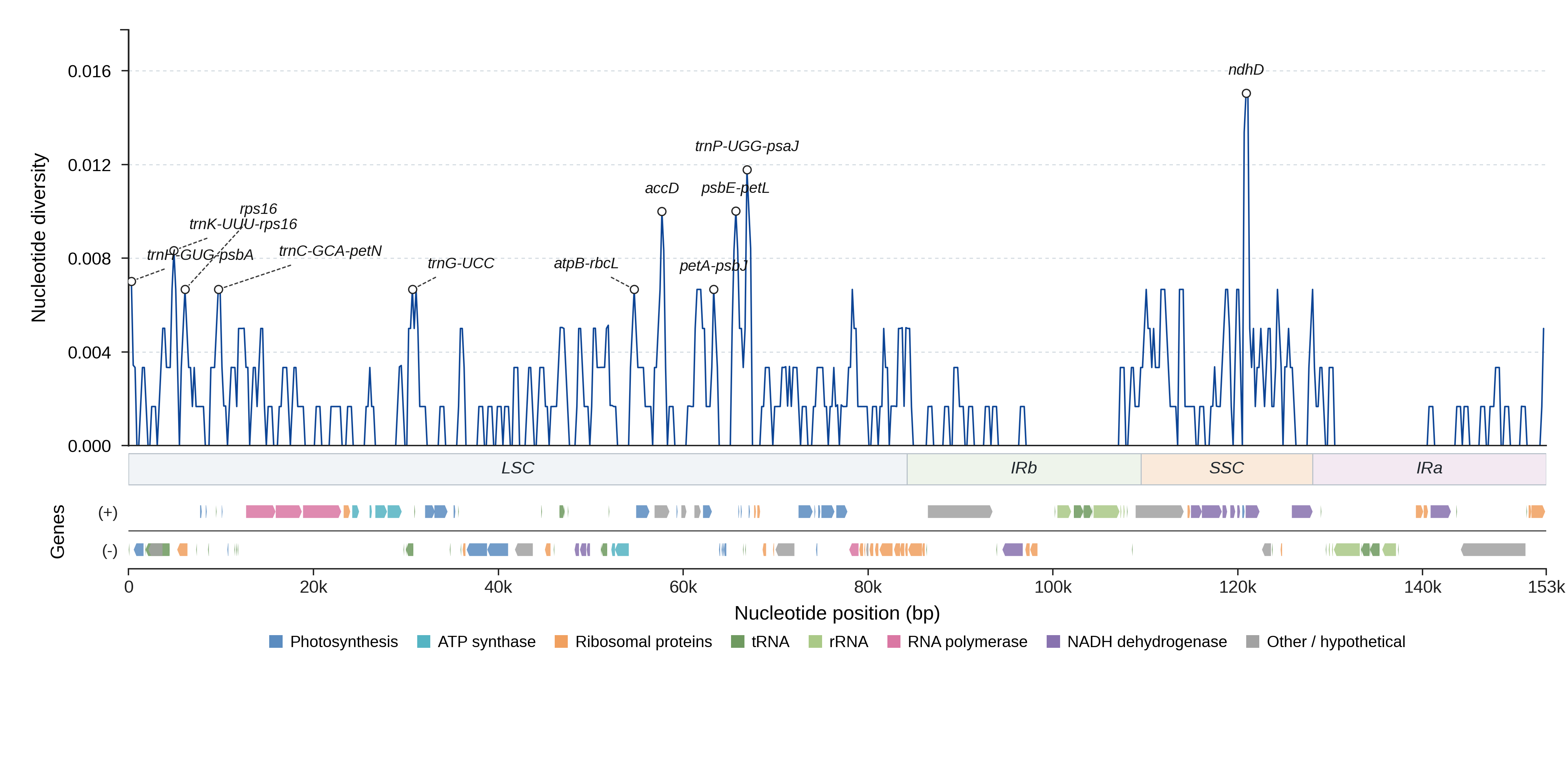 Sliding-window nucleotide diversity