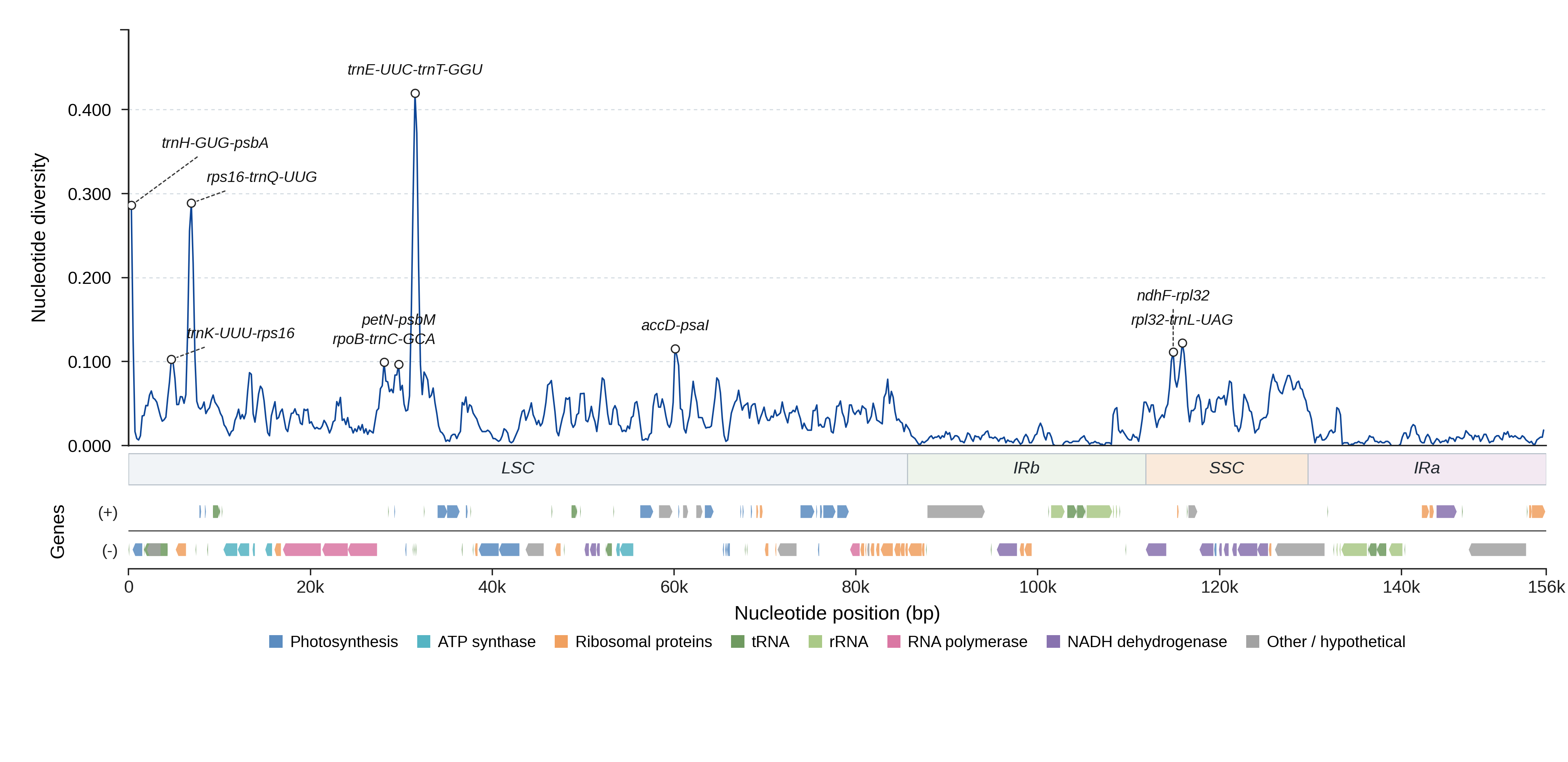 Sliding-window nucleotide diversity