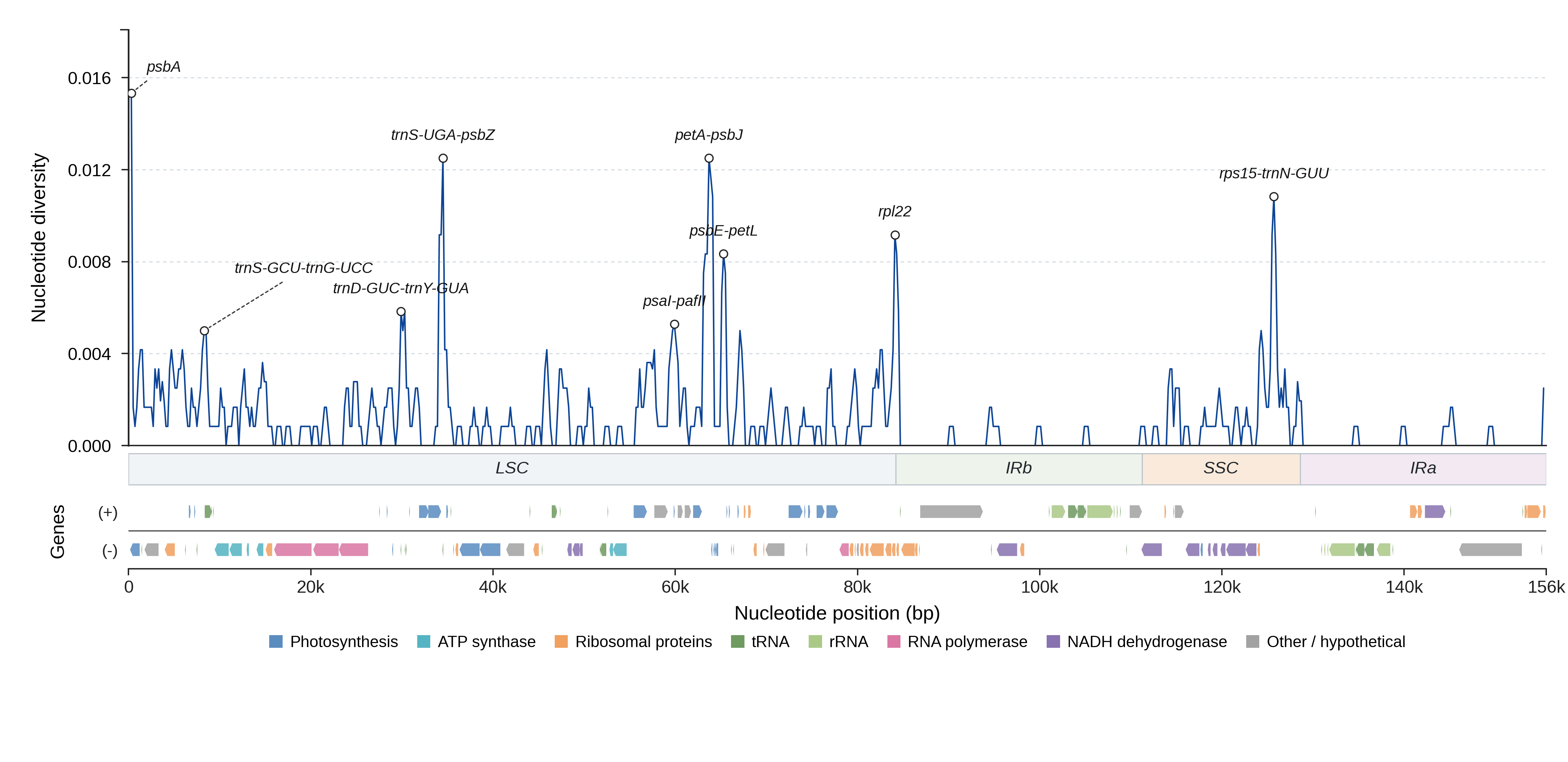 Sliding-window nucleotide diversity