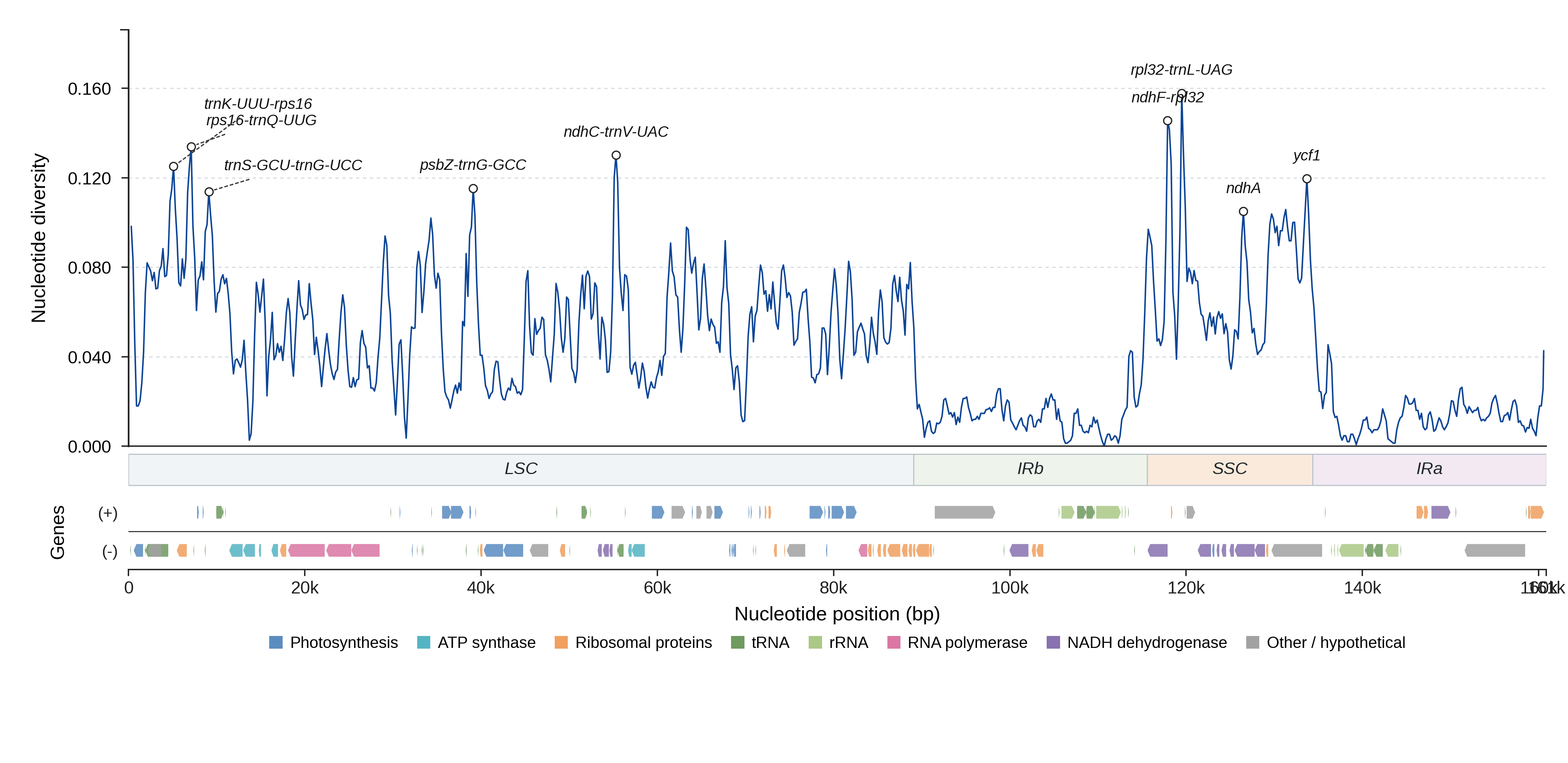 Sliding-window nucleotide diversity