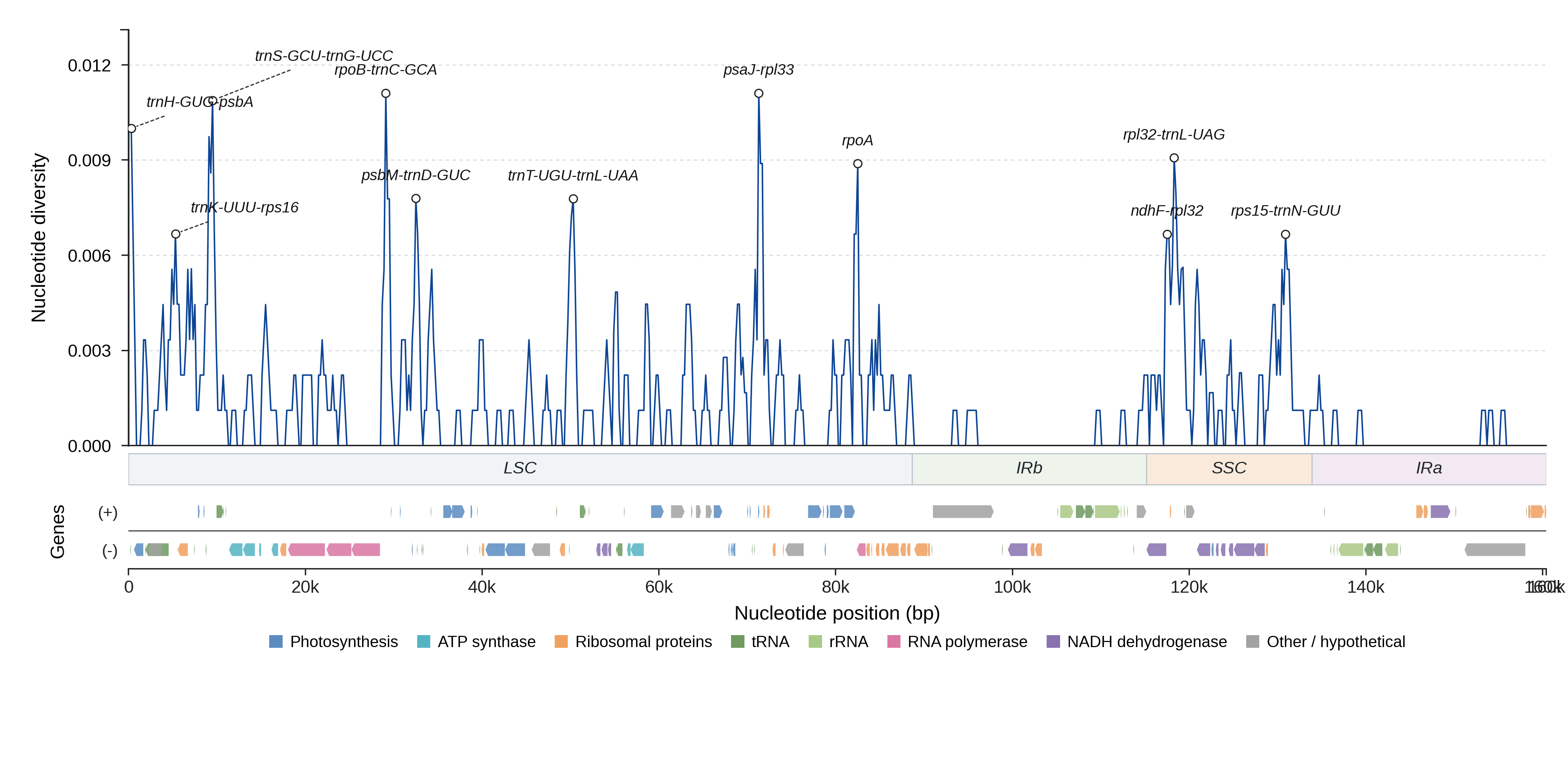 Sliding-window nucleotide diversity