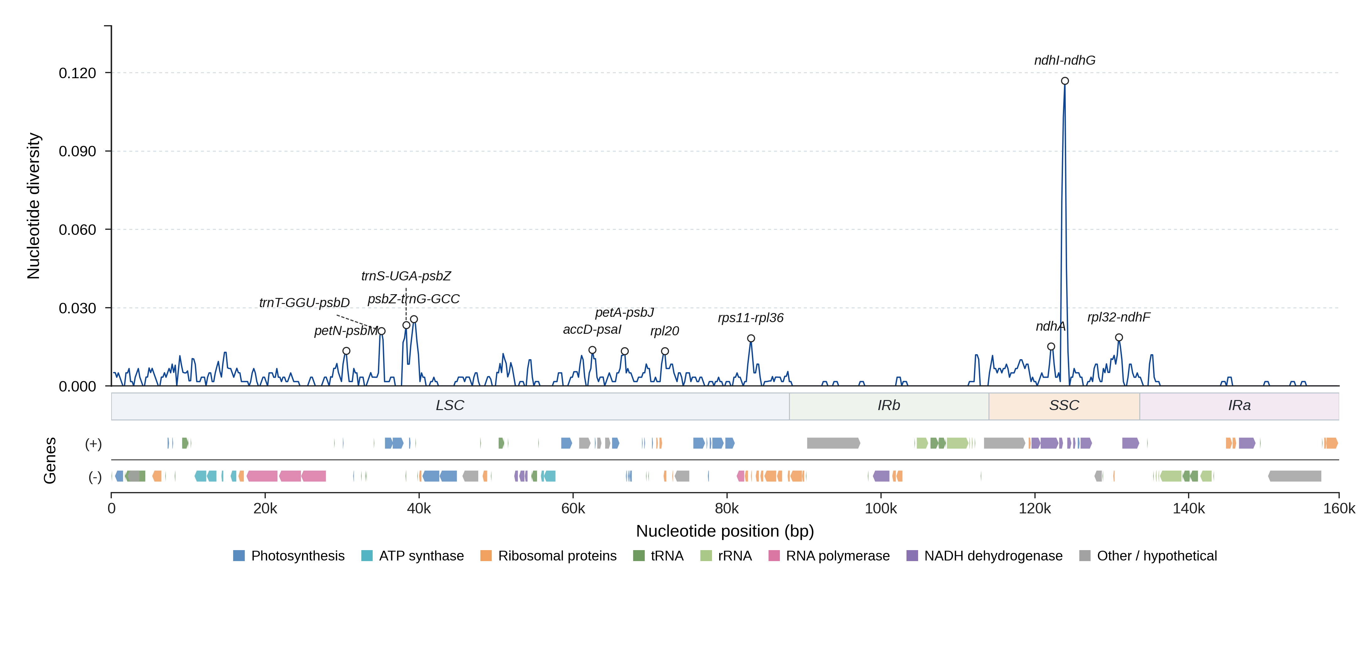 Sliding-window nucleotide diversity