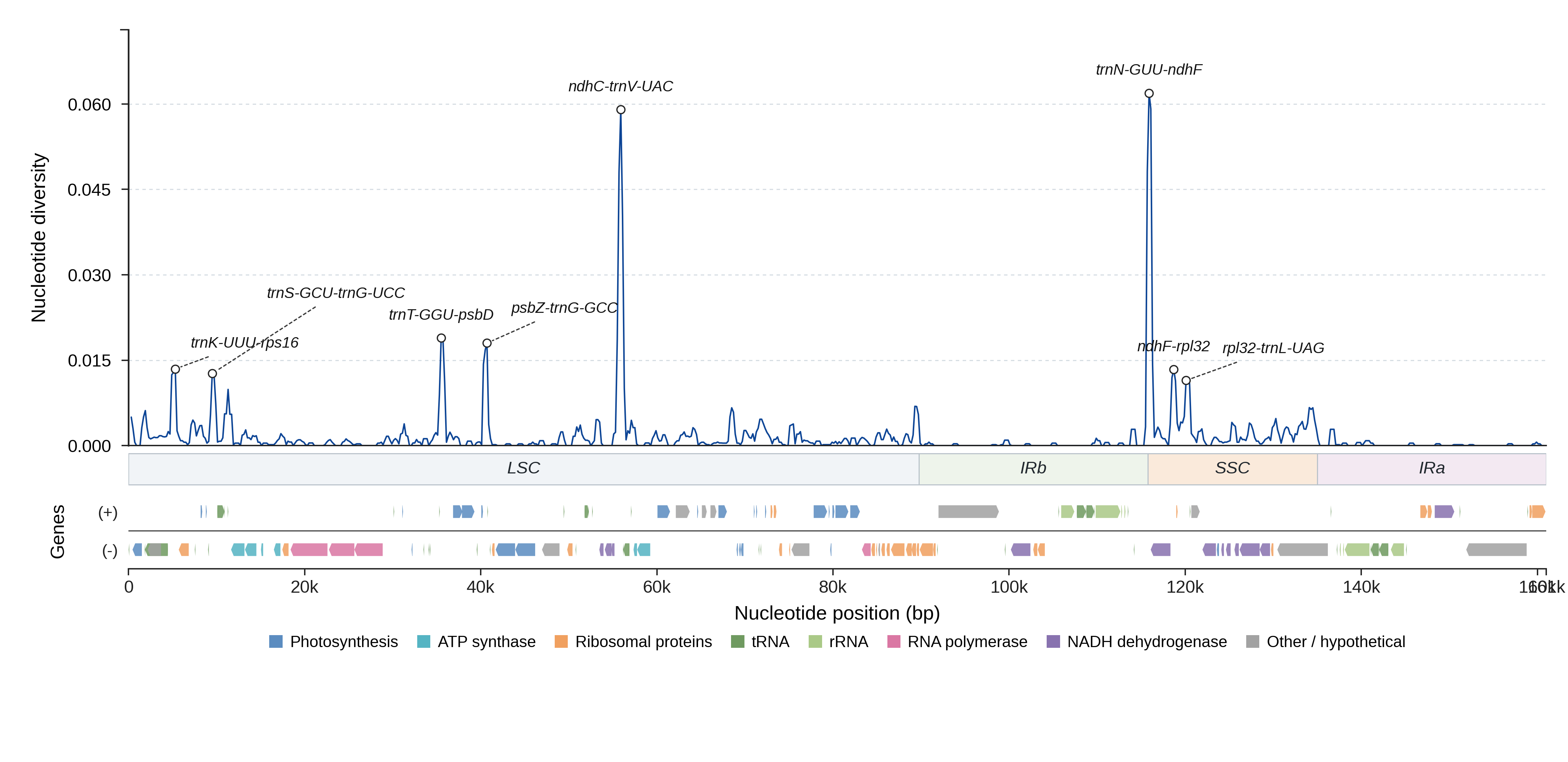 Sliding-window nucleotide diversity