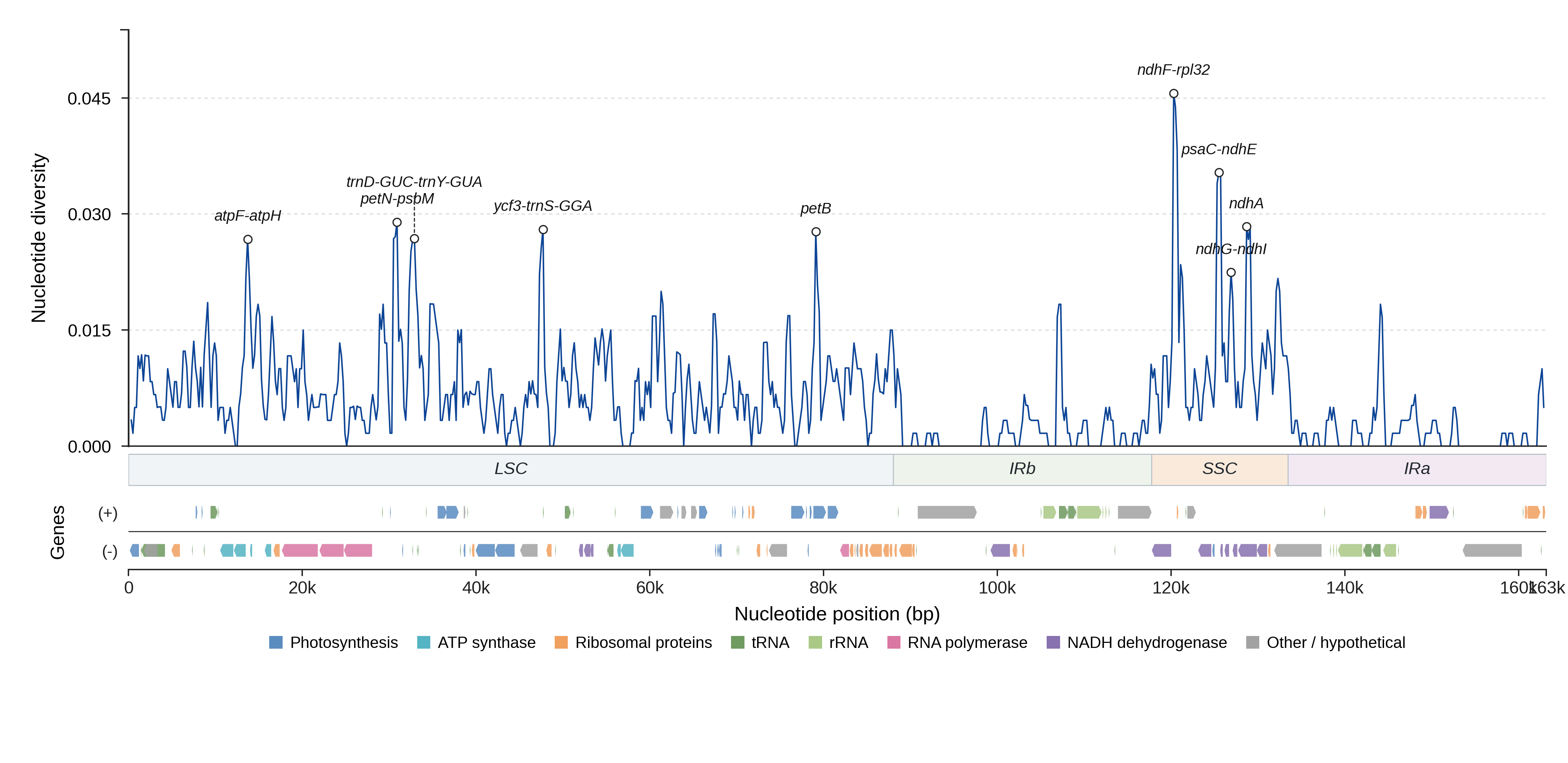 Sliding-window nucleotide diversity
