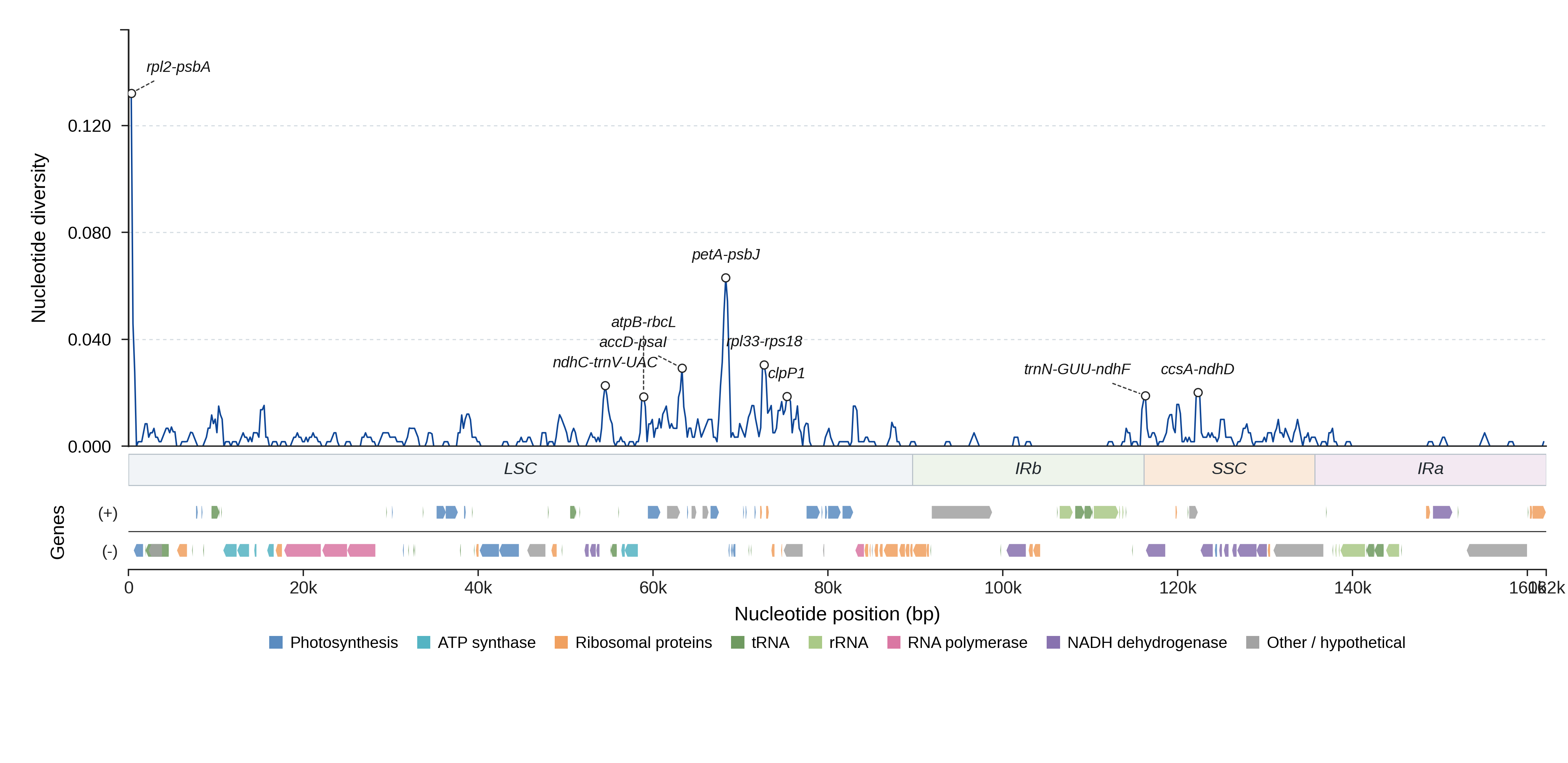 Sliding-window nucleotide diversity