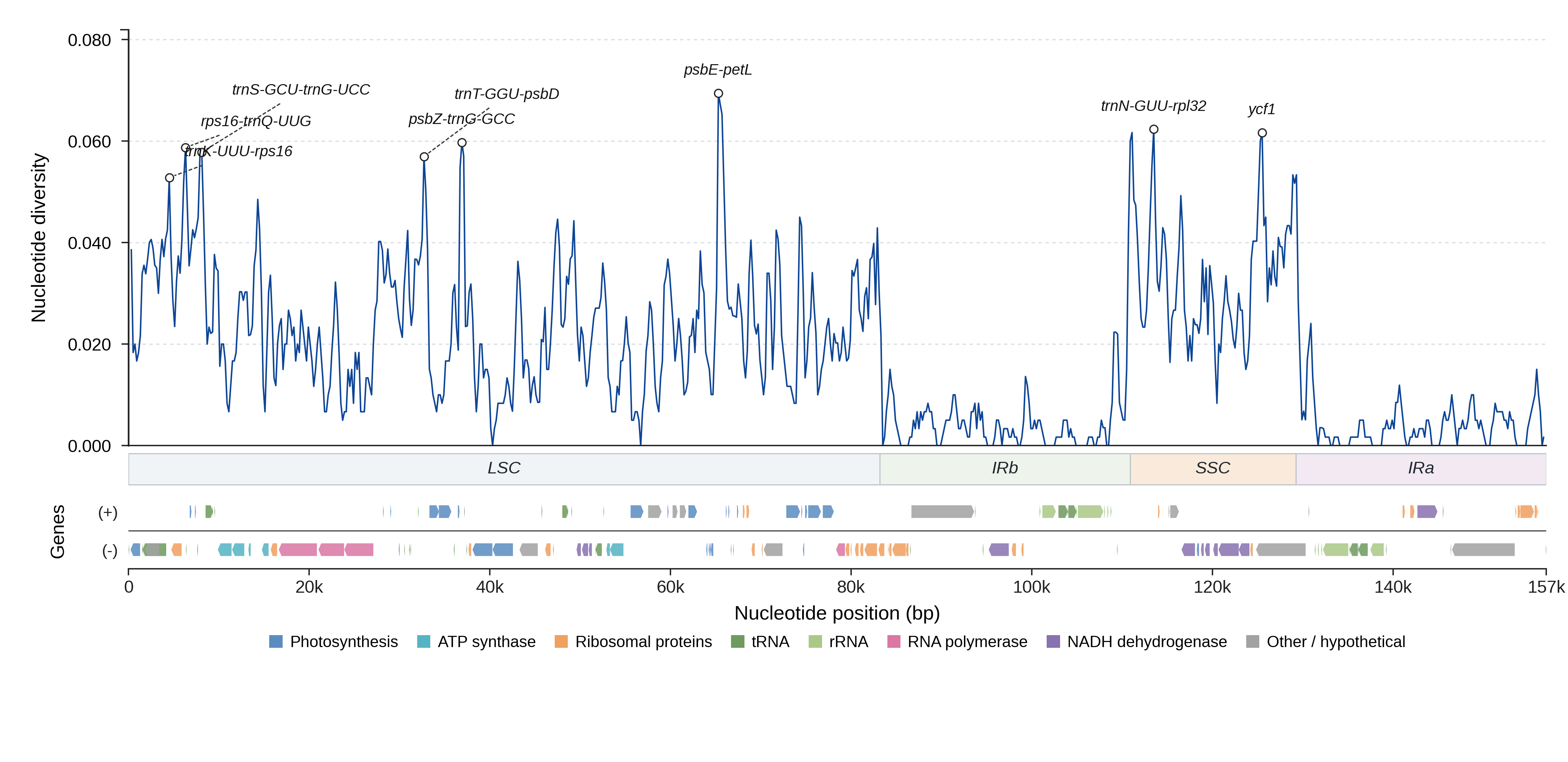 Sliding-window nucleotide diversity