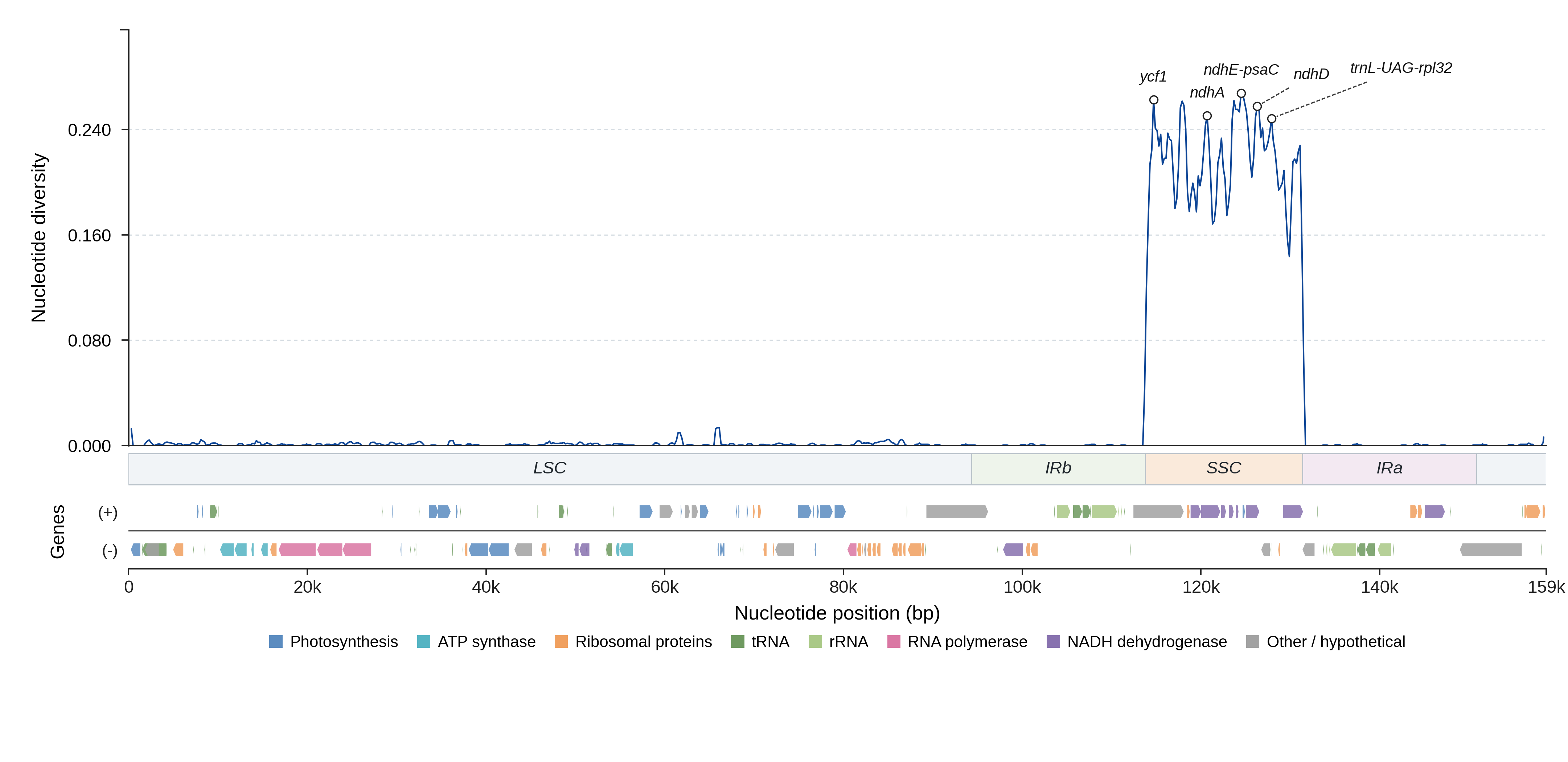 Sliding-window nucleotide diversity