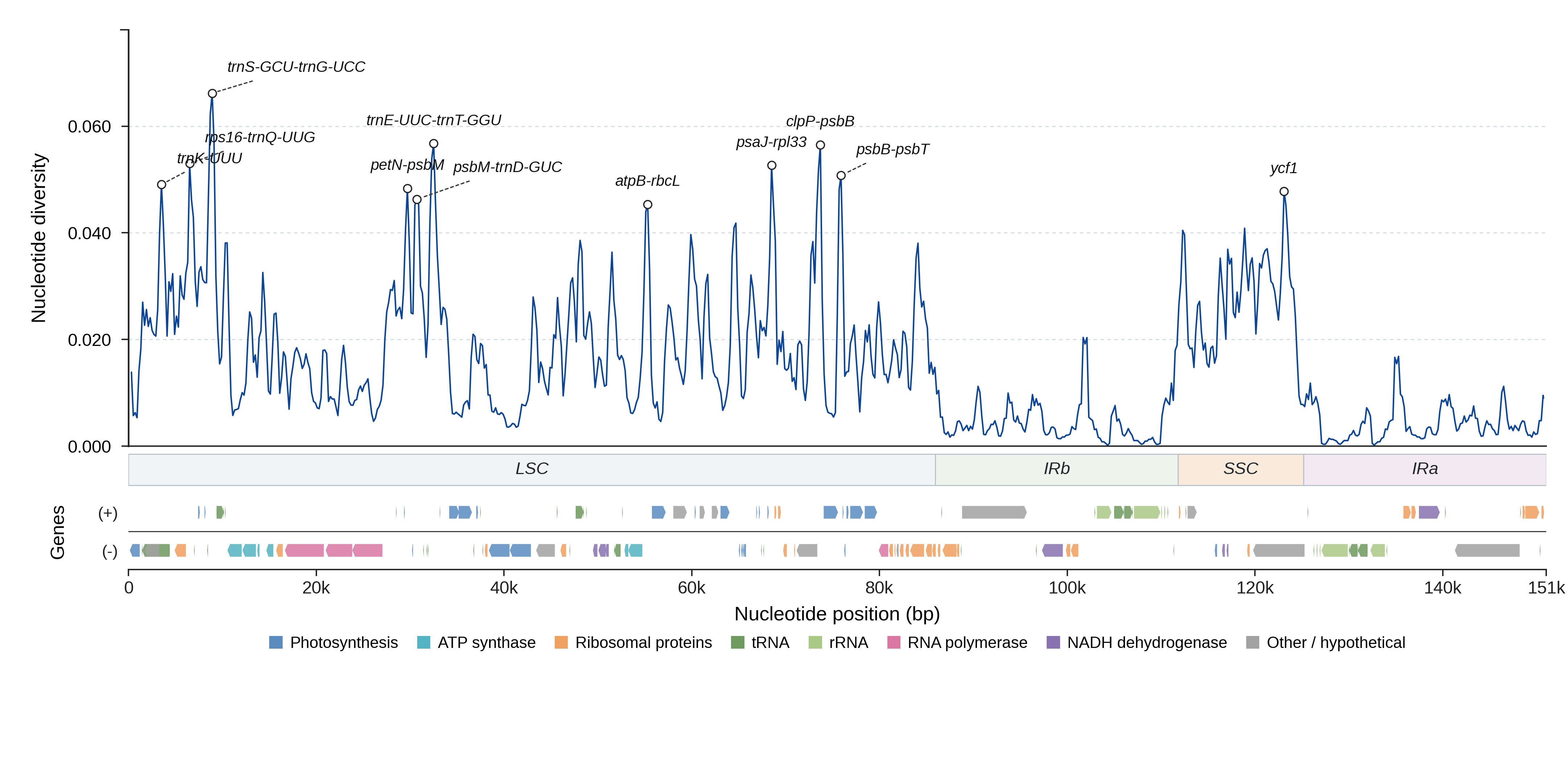 Sliding-window nucleotide diversity