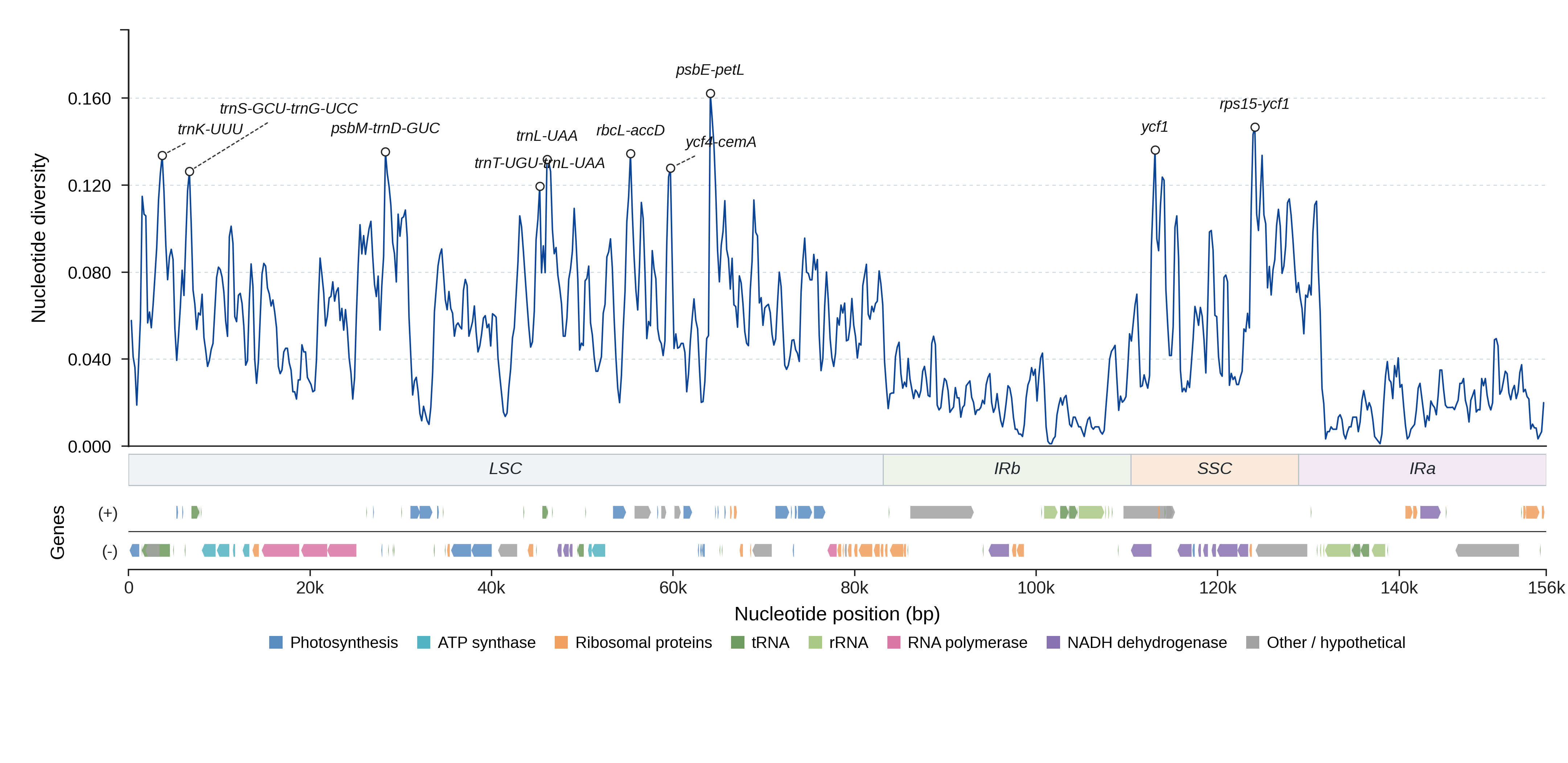 Sliding-window nucleotide diversity