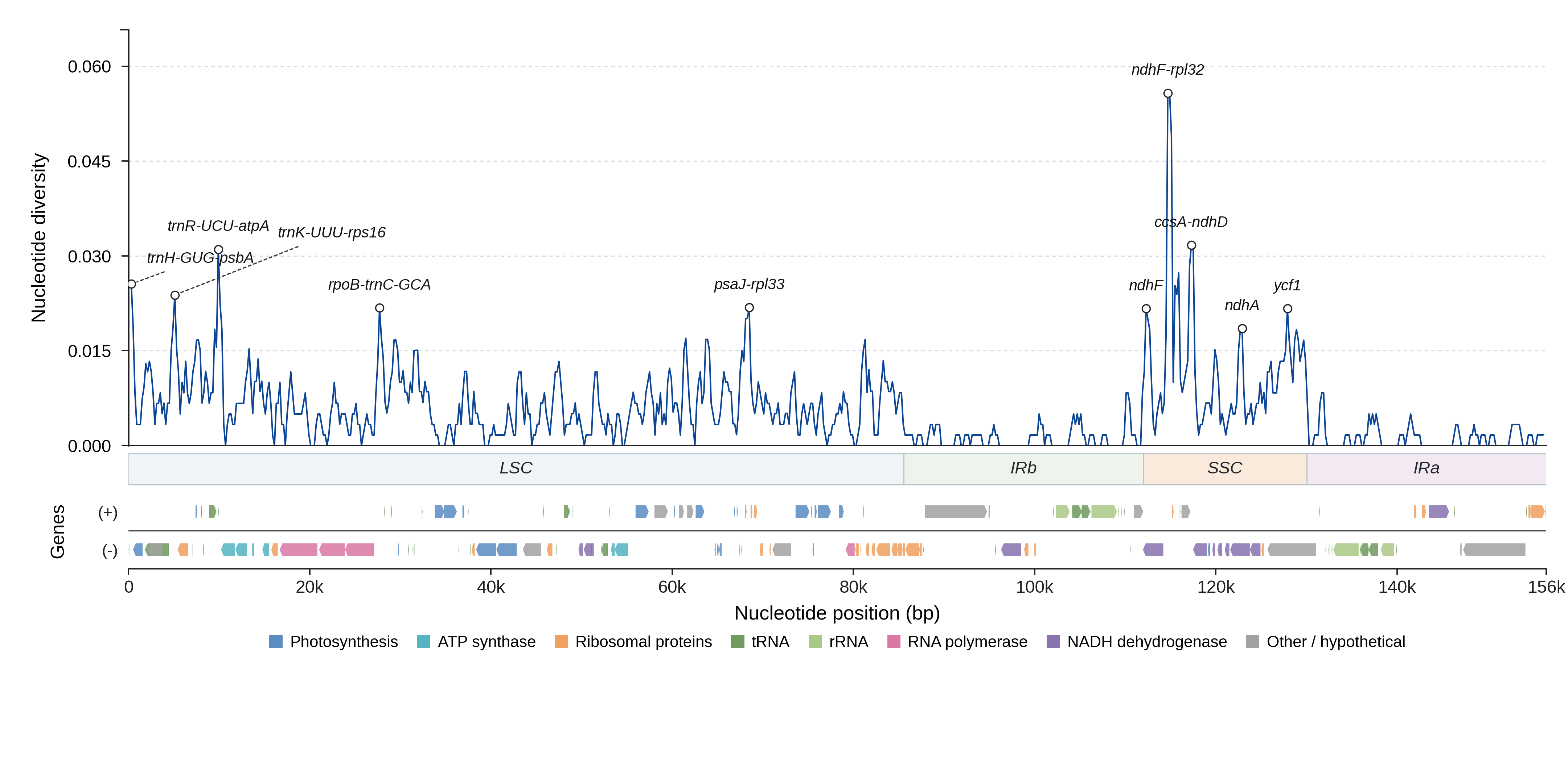 Sliding-window nucleotide diversity