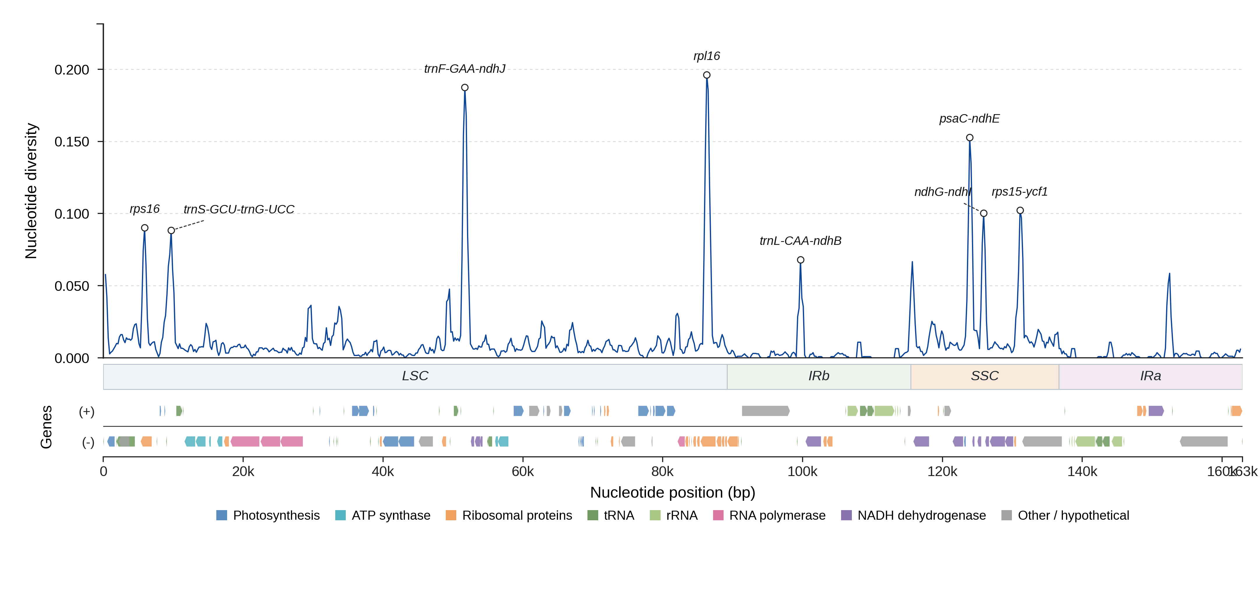 Sliding-window nucleotide diversity
