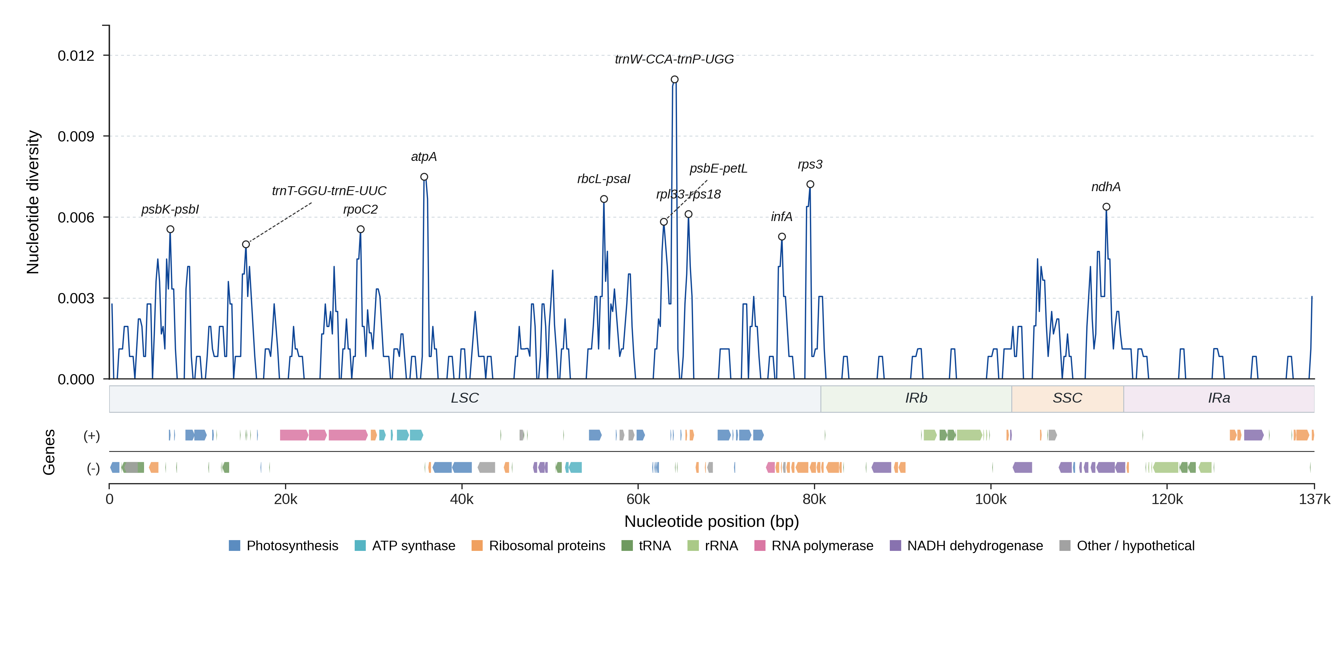 Sliding-window nucleotide diversity