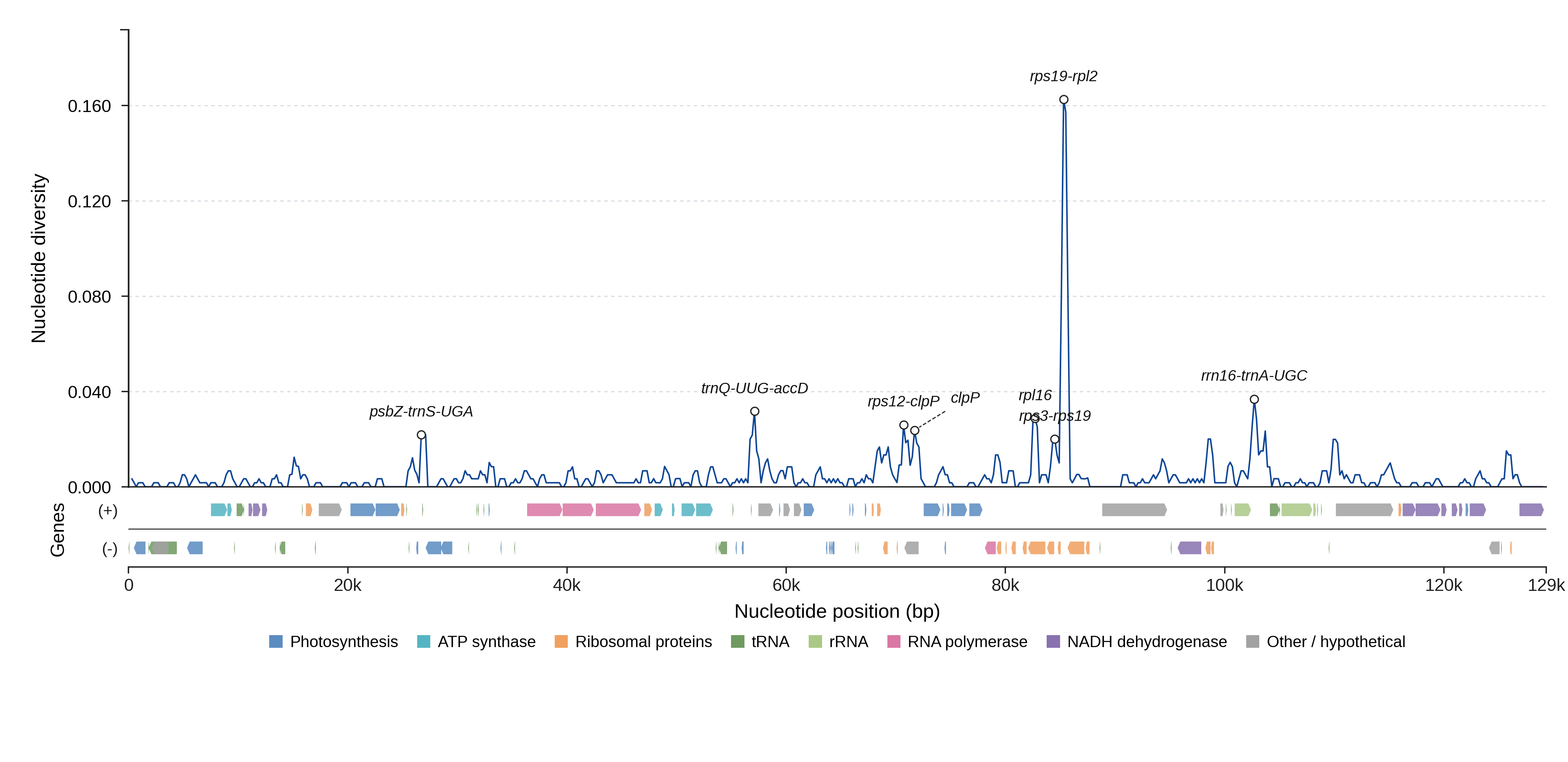 Sliding-window nucleotide diversity