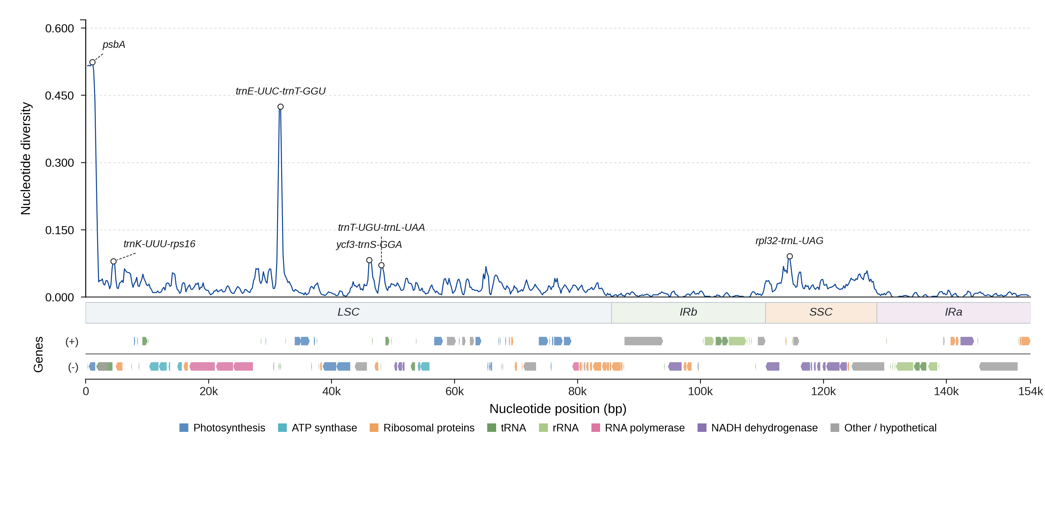 Sliding-window nucleotide diversity