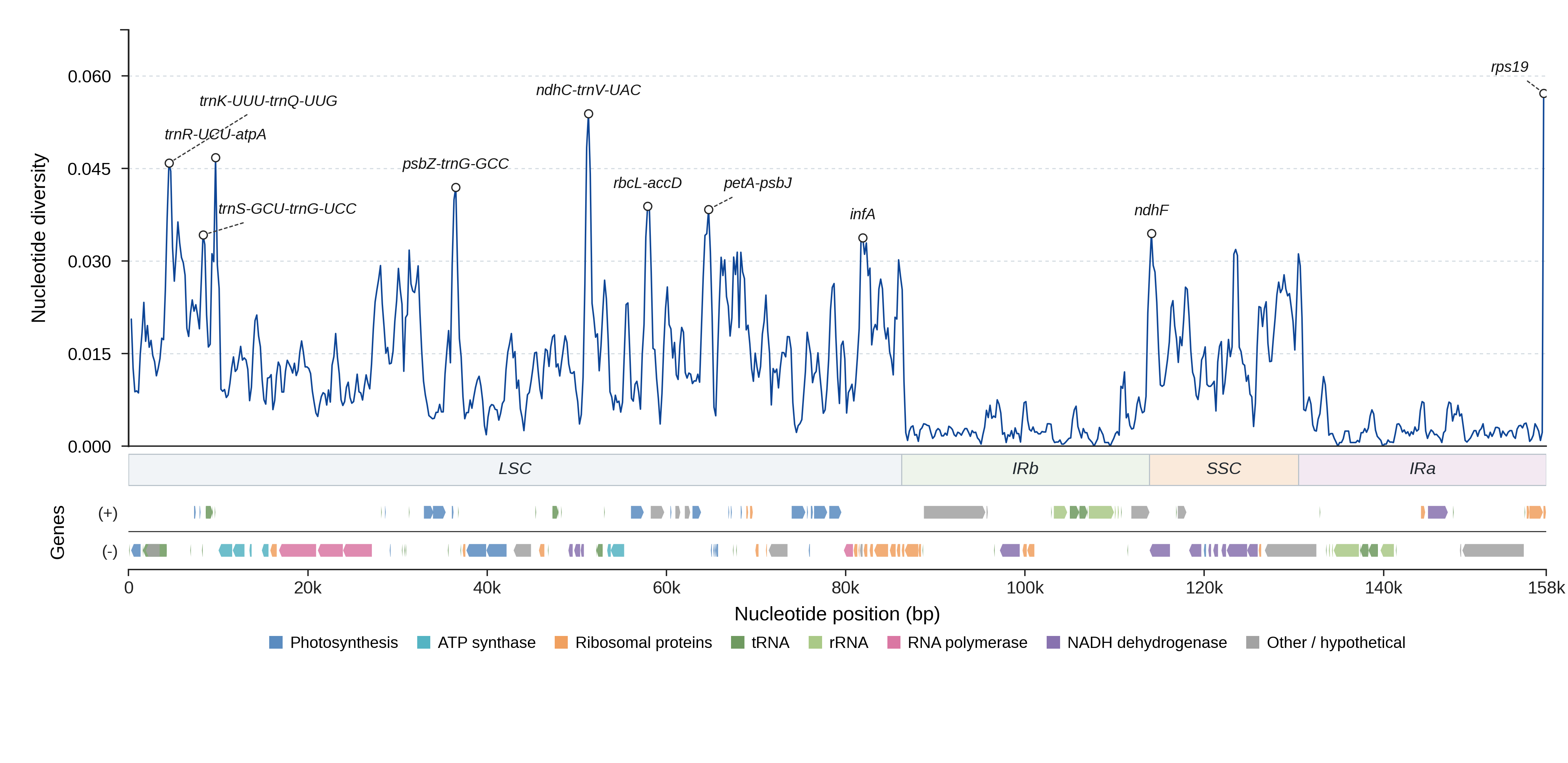 Sliding-window nucleotide diversity