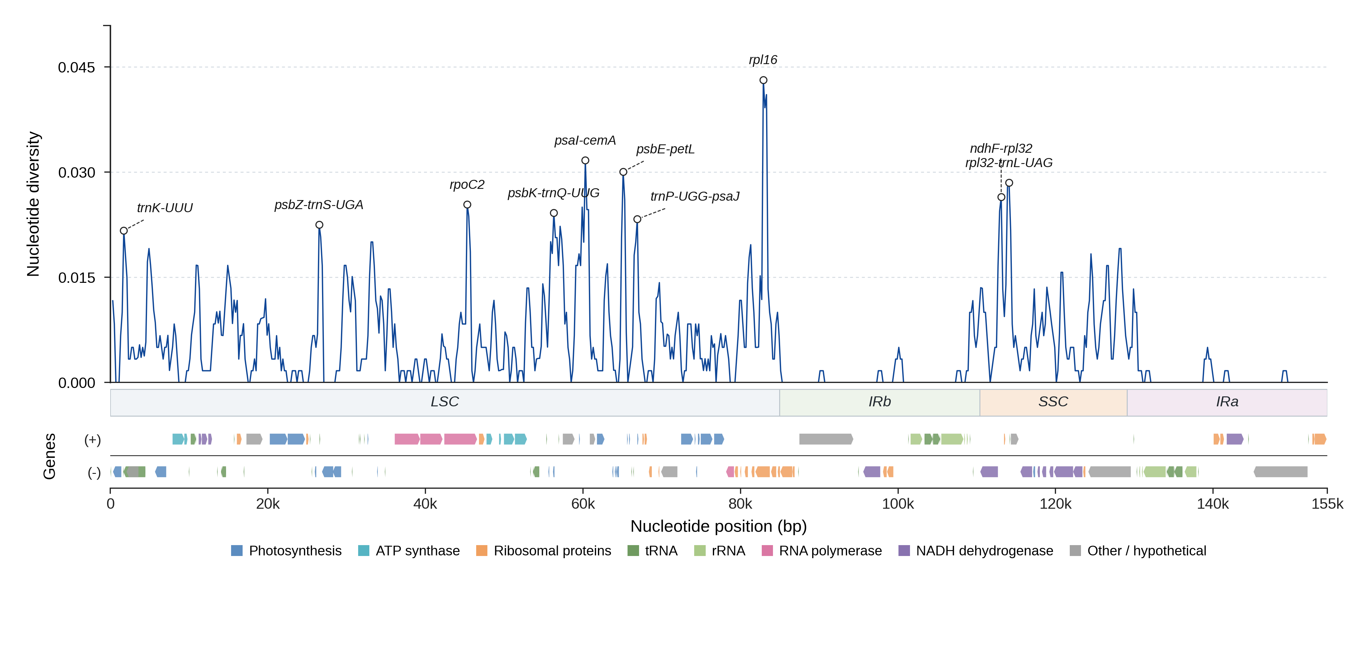Sliding-window nucleotide diversity